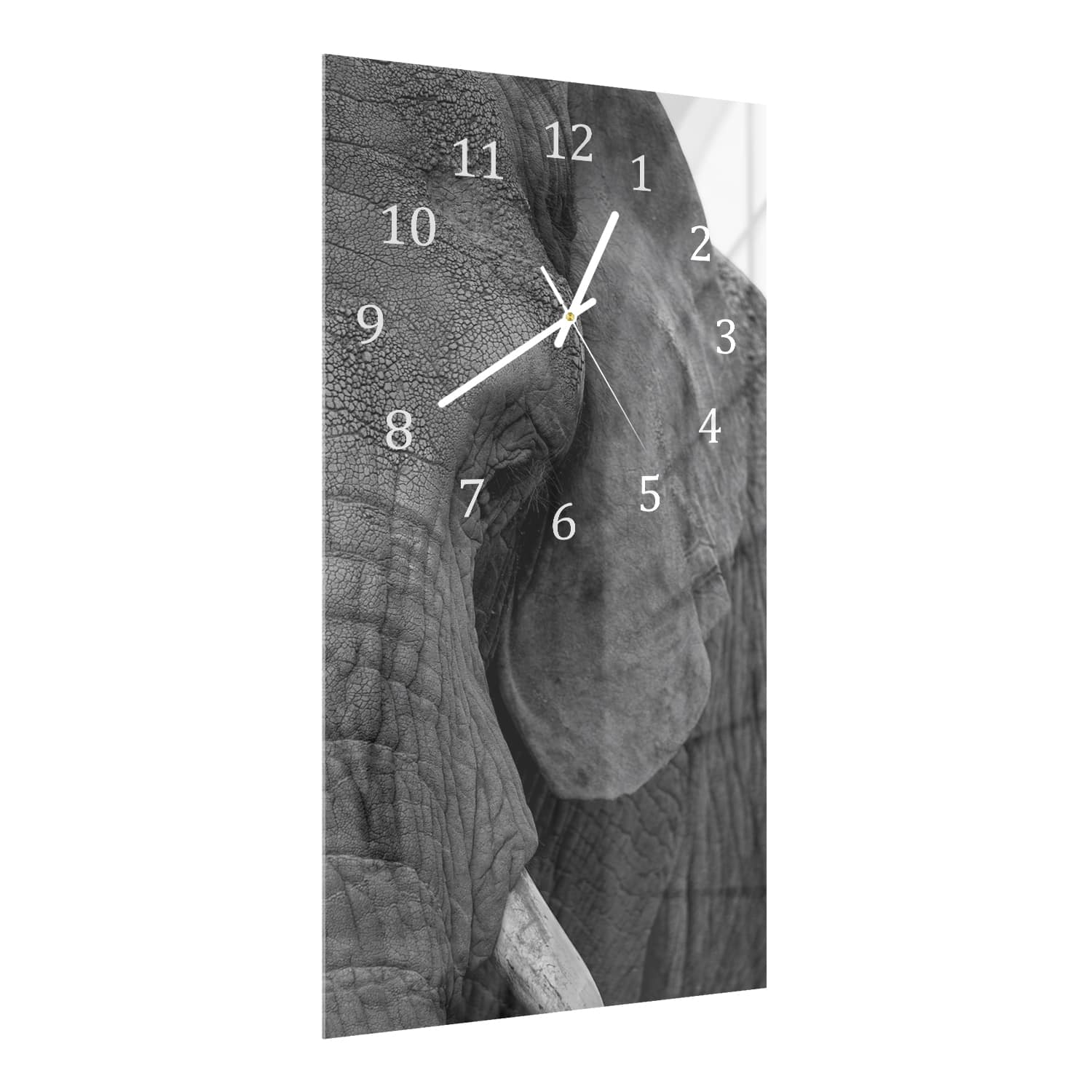 Wanduhr 30x60 - Afrikanischer Waldelefant