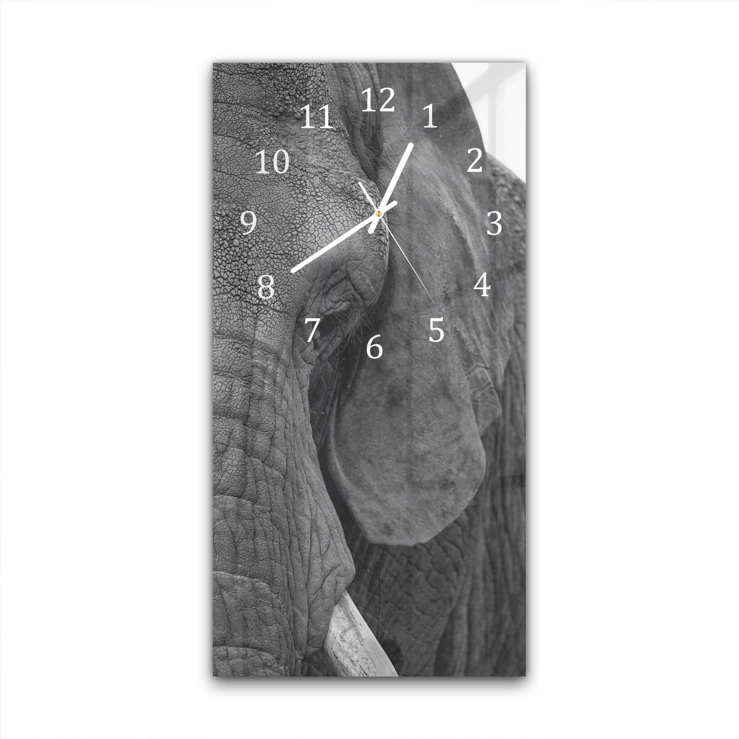Wanduhr 30x60 - Afrikanischer Waldelefant