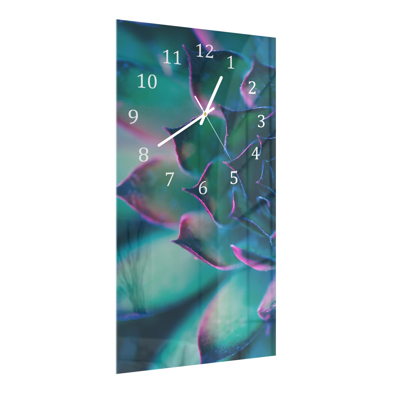Wanduhr 30x60 - Bunte Sukkulente