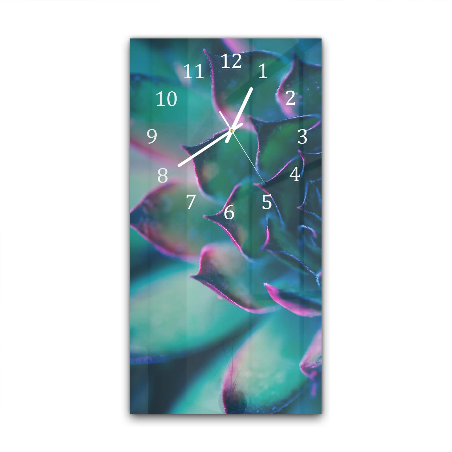 Wanduhr 30x60 - Bunte Sukkulente