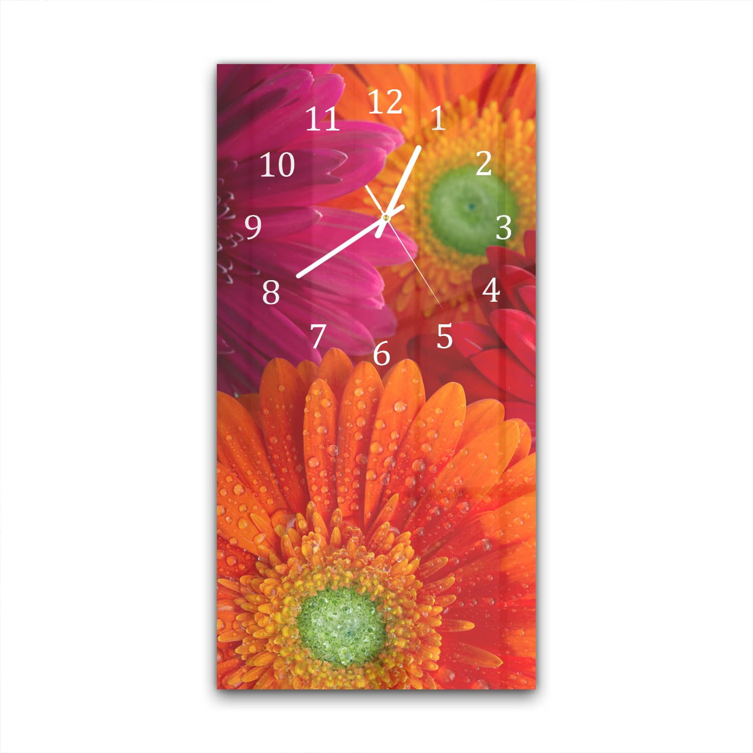Wanduhr 30x60 - Strahlende Gerbera