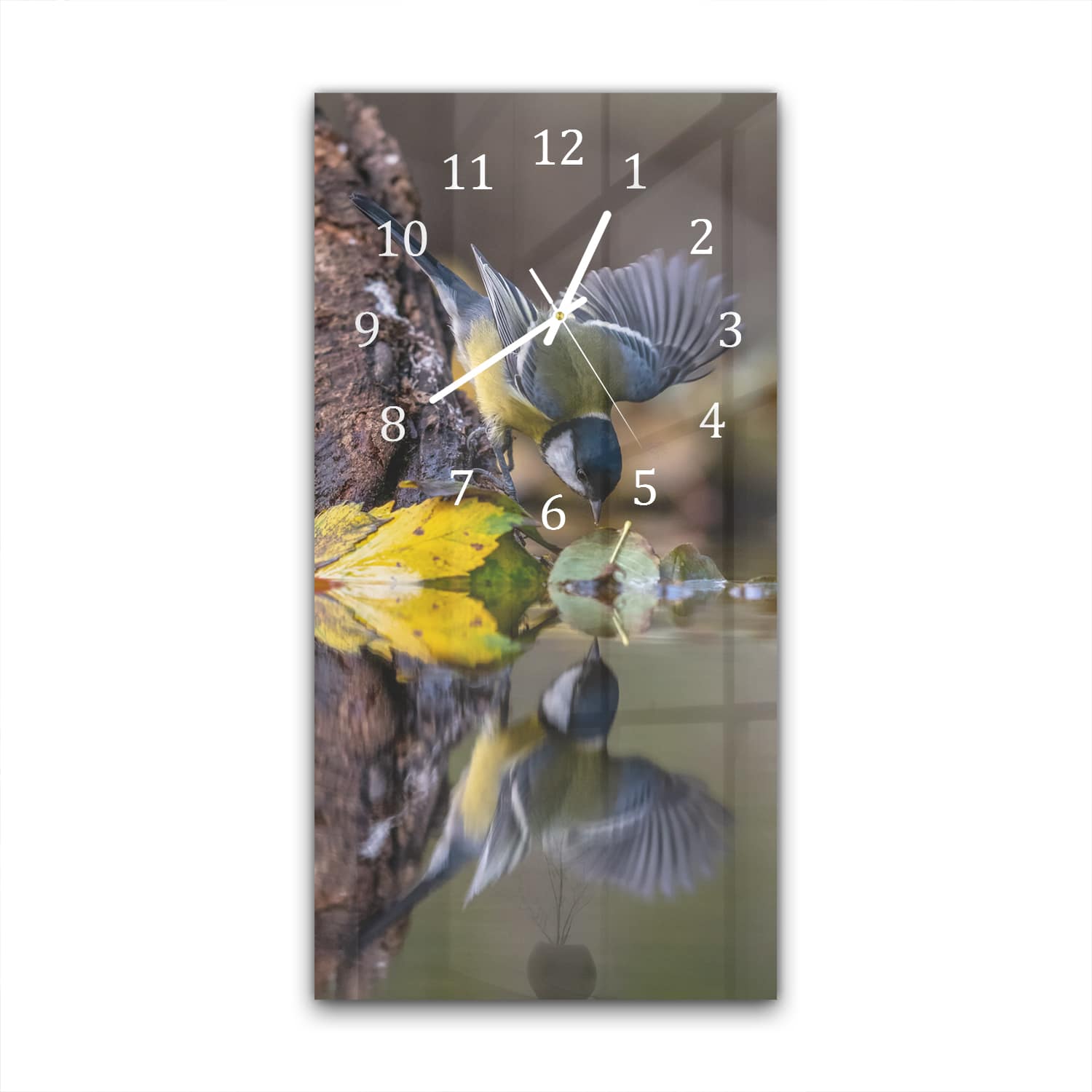 Wanduhr 30x60 - Kohlmeise am Wasser