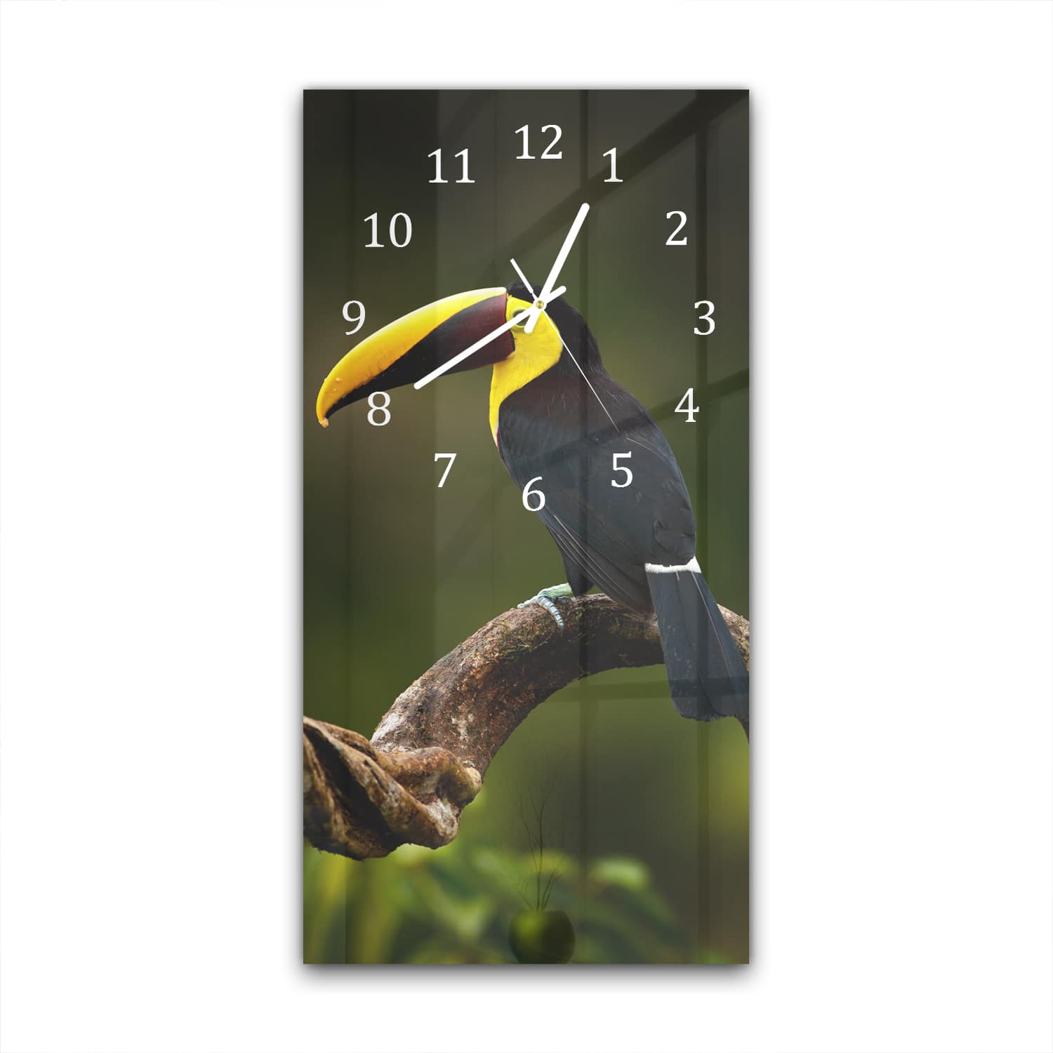 Wanduhr 30x60 - Tropischer Vogel