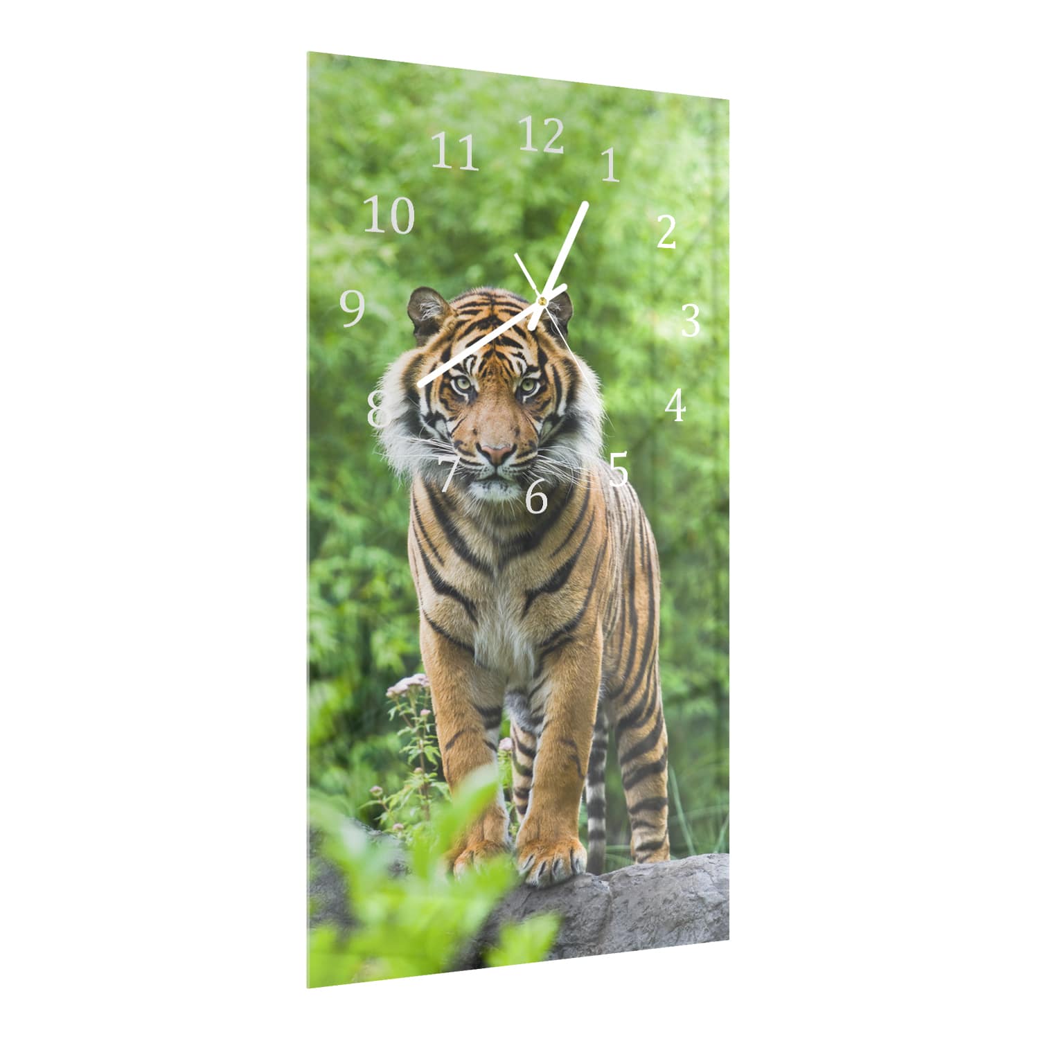 Wanduhr 30x60 - Bengalischer Tiger