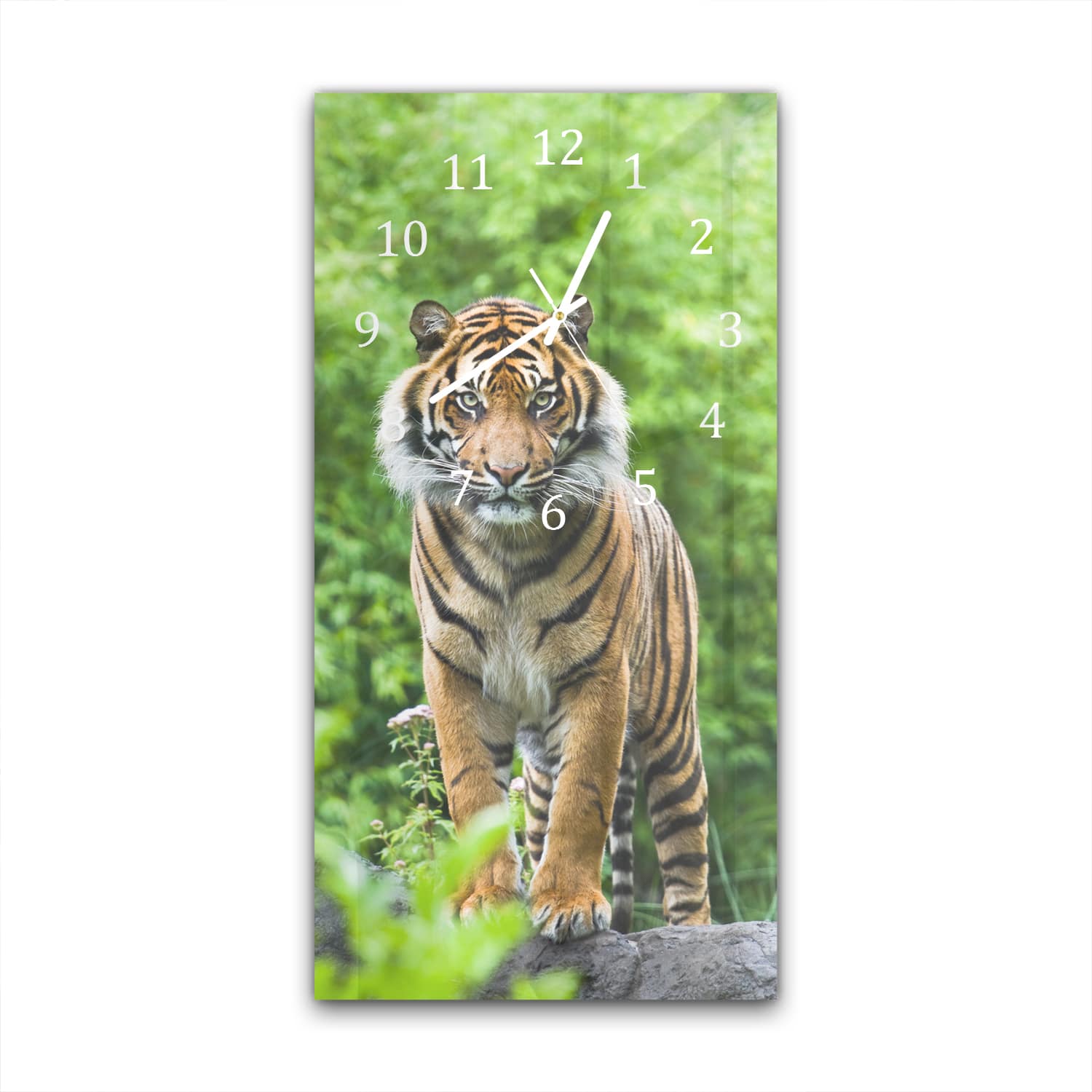 Wanduhr 30x60 - Bengalischer Tiger