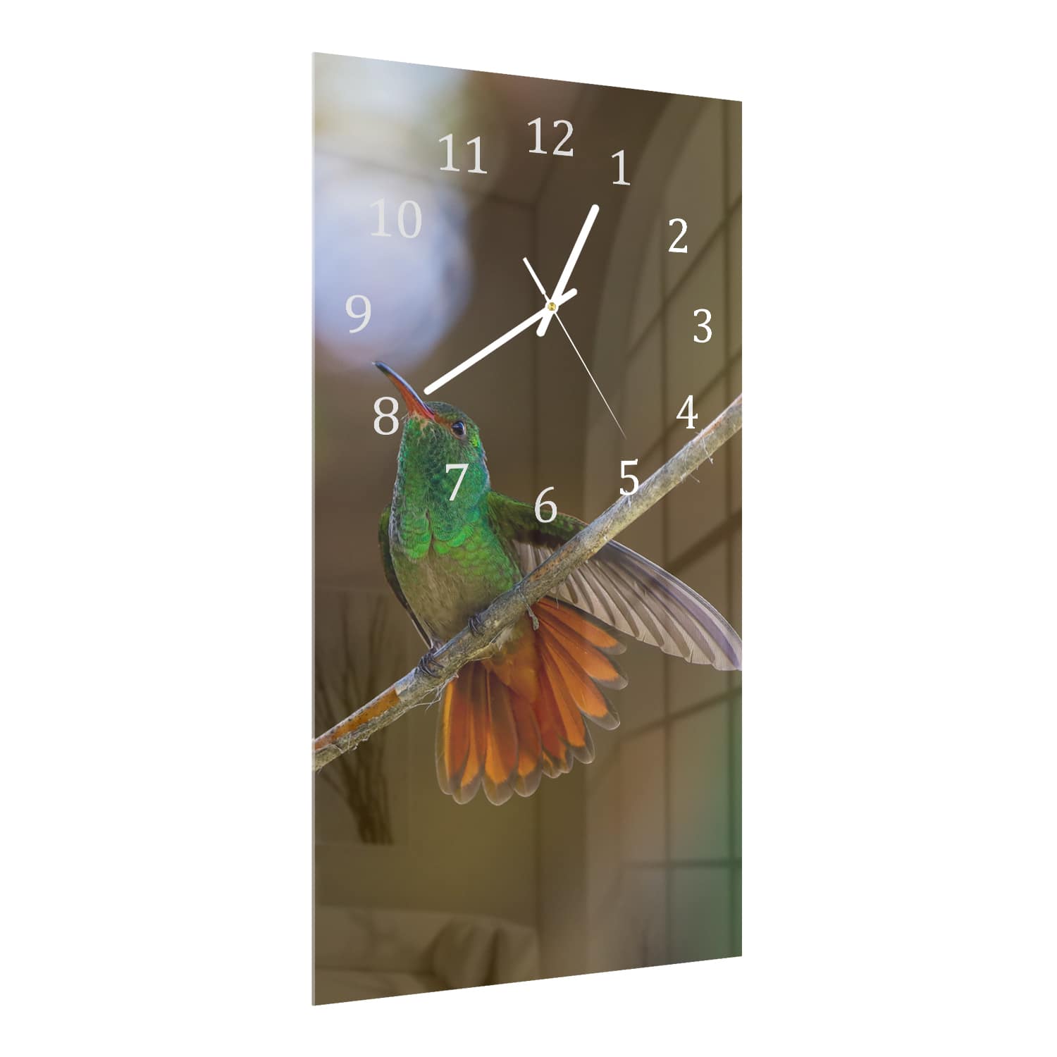 Wanduhr 30x60 - Kolibri