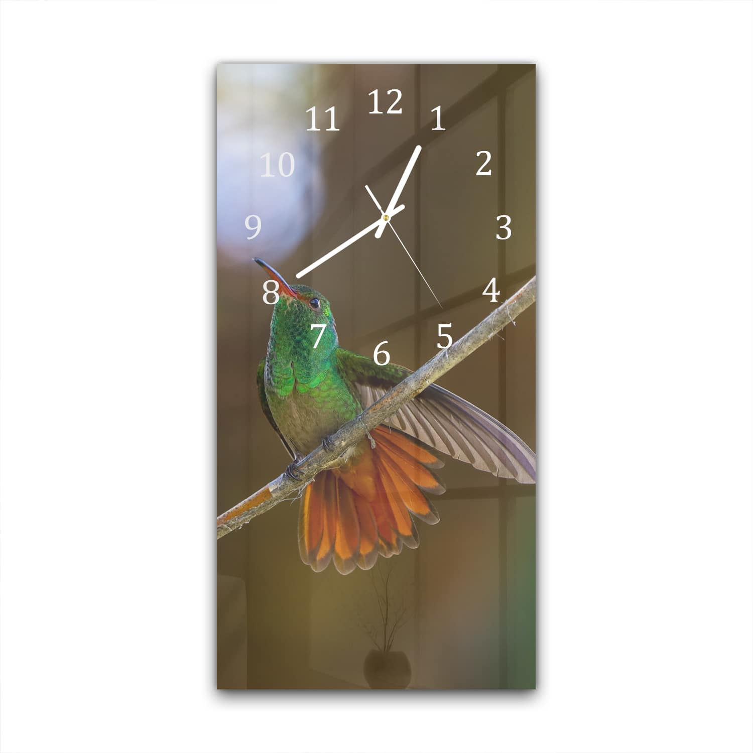 Wanduhr 30x60 - Kolibri