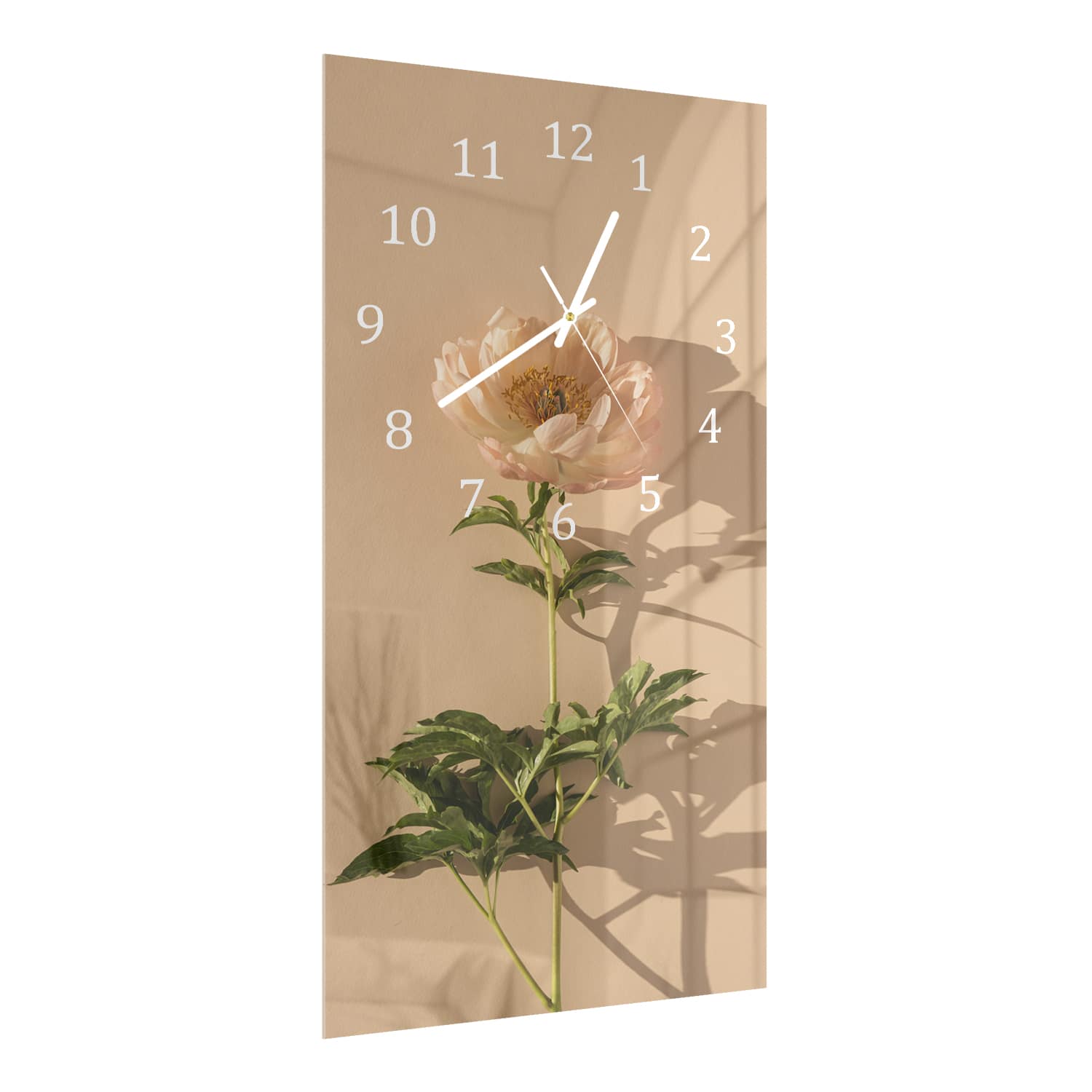 Wanduhr 30x60 - Pfirsichrosa Pfingstrose