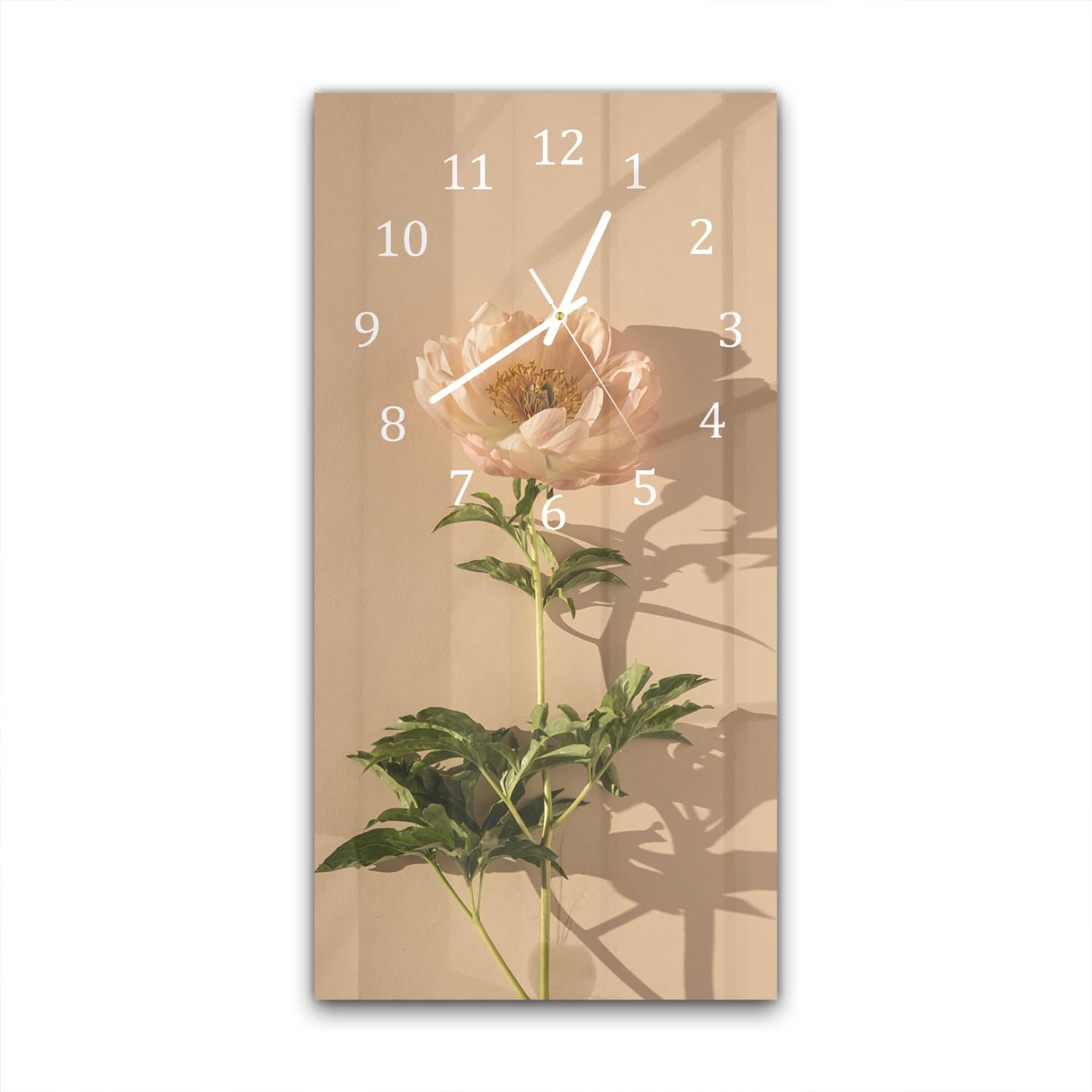 Wanduhr 30x60 - Pfirsichrosa Pfingstrose