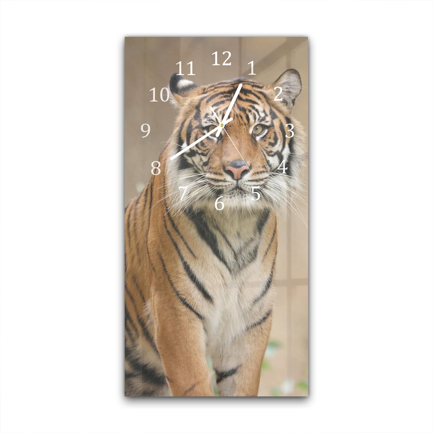 Wanduhr 30x60 - Tiger im Dschungel