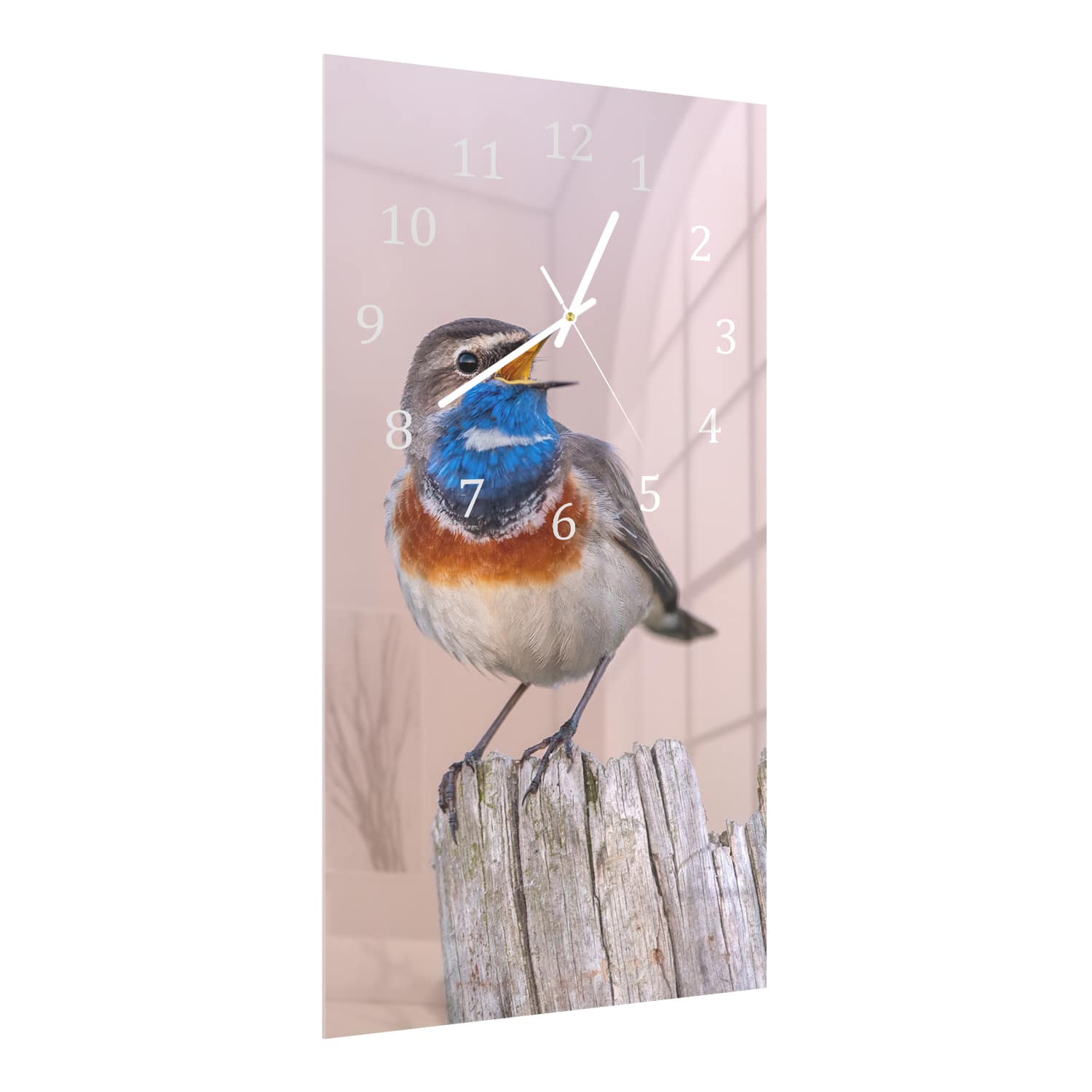 Wanduhr 30x60 - Blaukehlchen