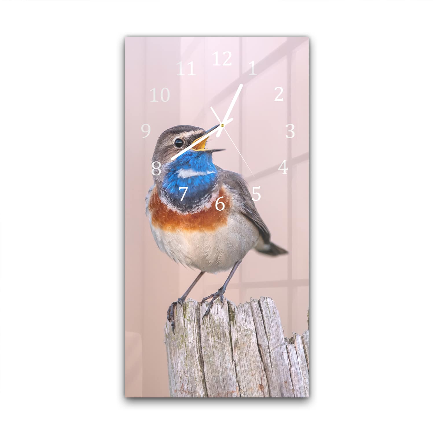 Wanduhr 30x60 - Blaukehlchen
