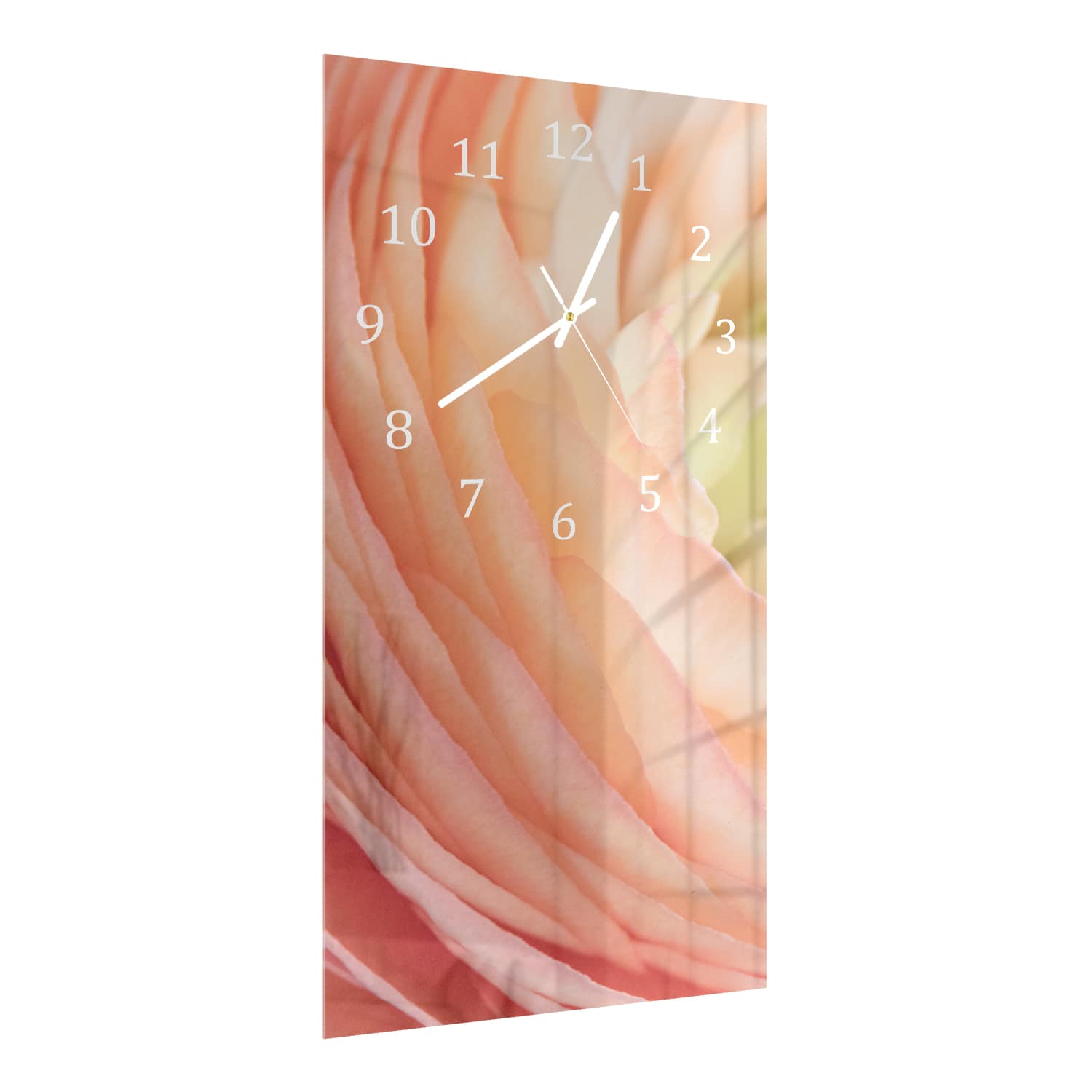 Wanduhr 30x60 - Butterblume Nahaufnahme