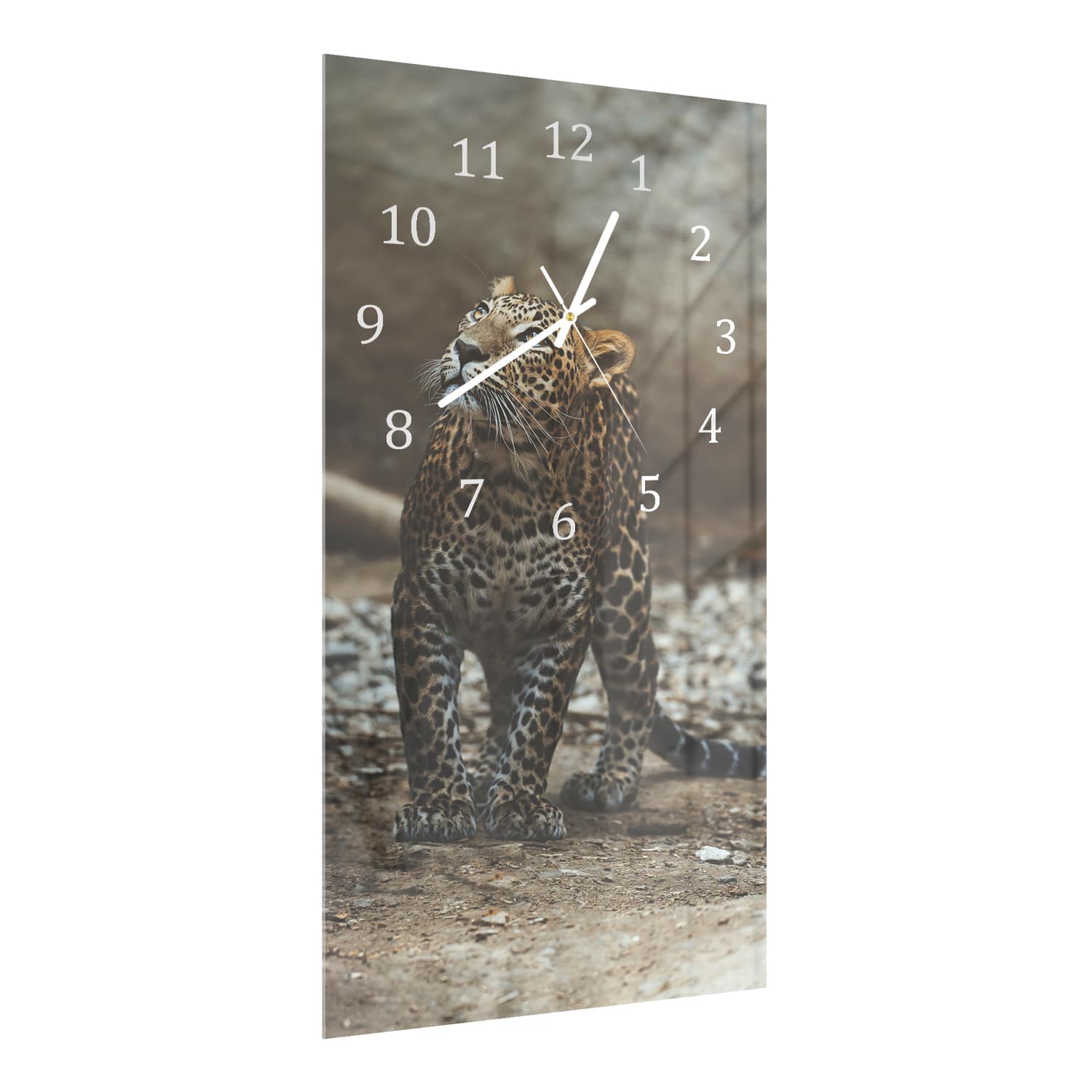 Wanduhr 30x60 - Ceylon-Leopard