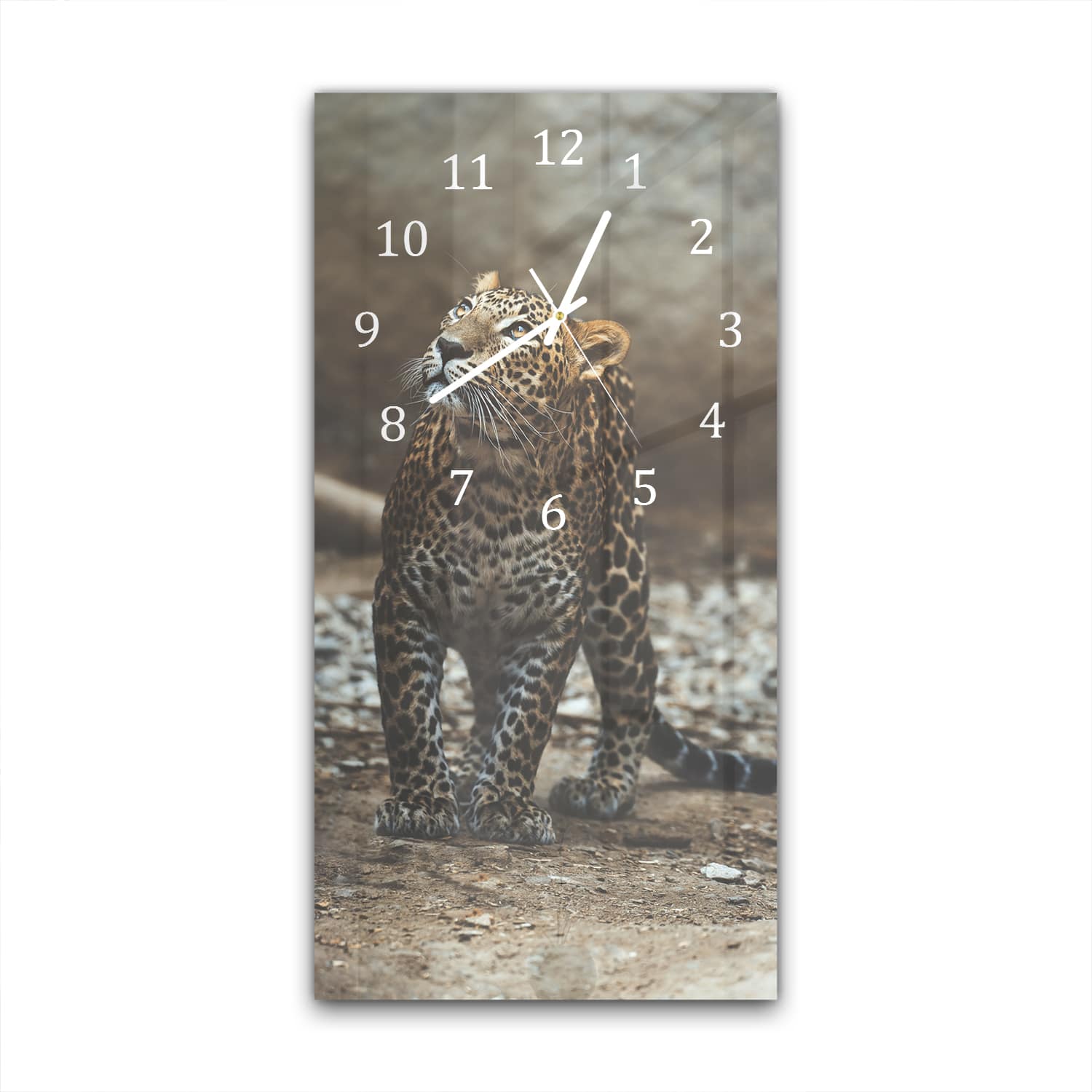 Wanduhr 30x60 - Ceylon-Leopard