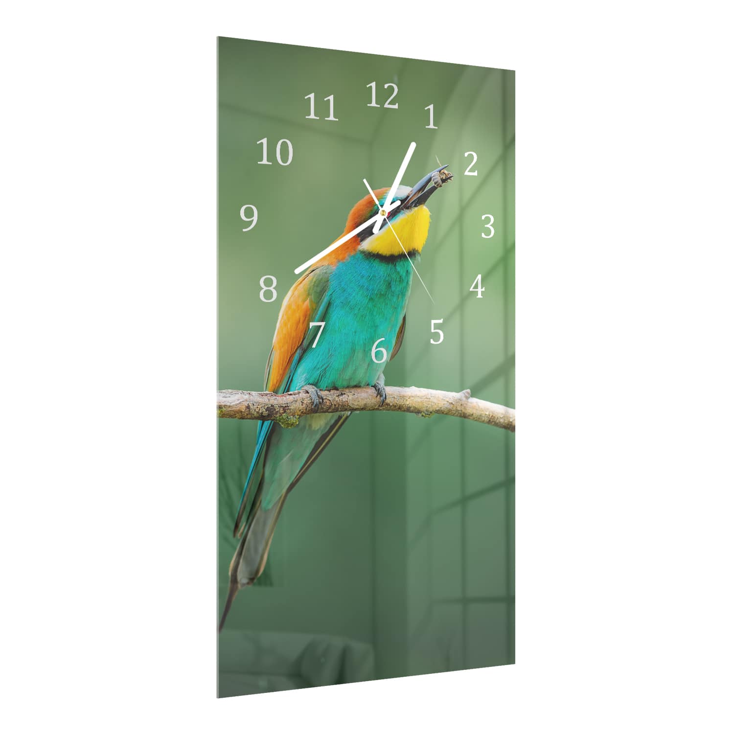 Wanduhr 30x60 - Europäischer Bienenfresser