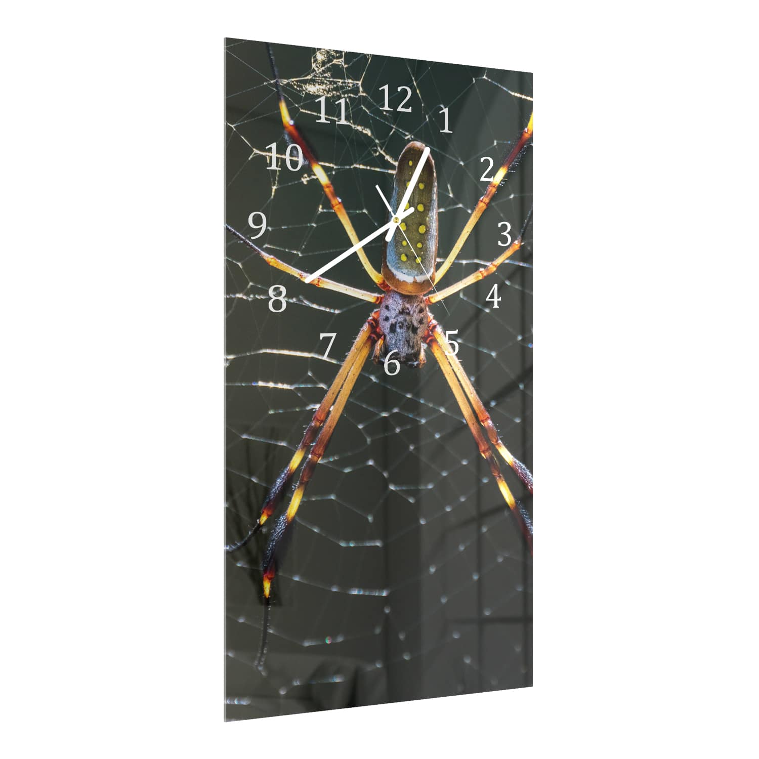 Wanduhr 30x60 - Goldene Webspinne