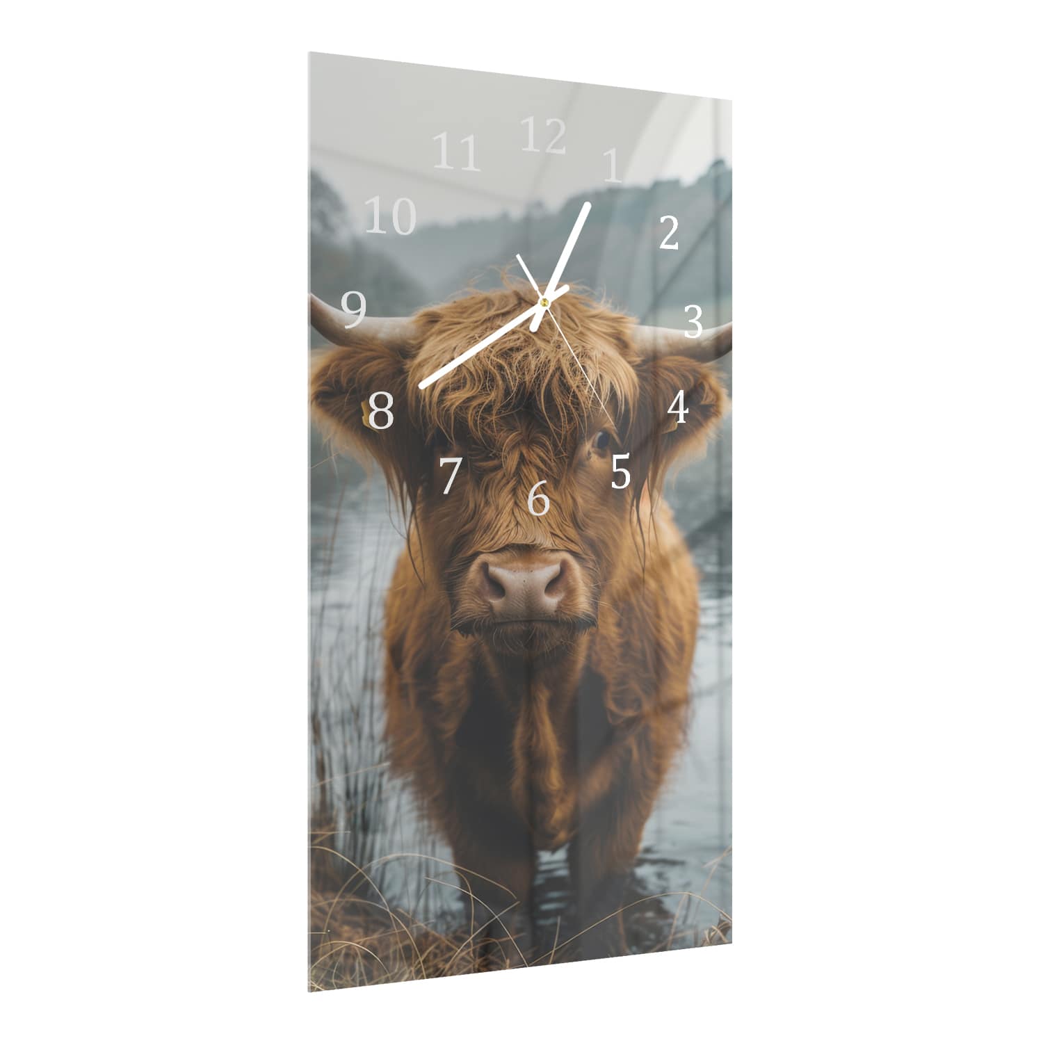 Wanduhr 30x60 - Hochlandrind im Wasser