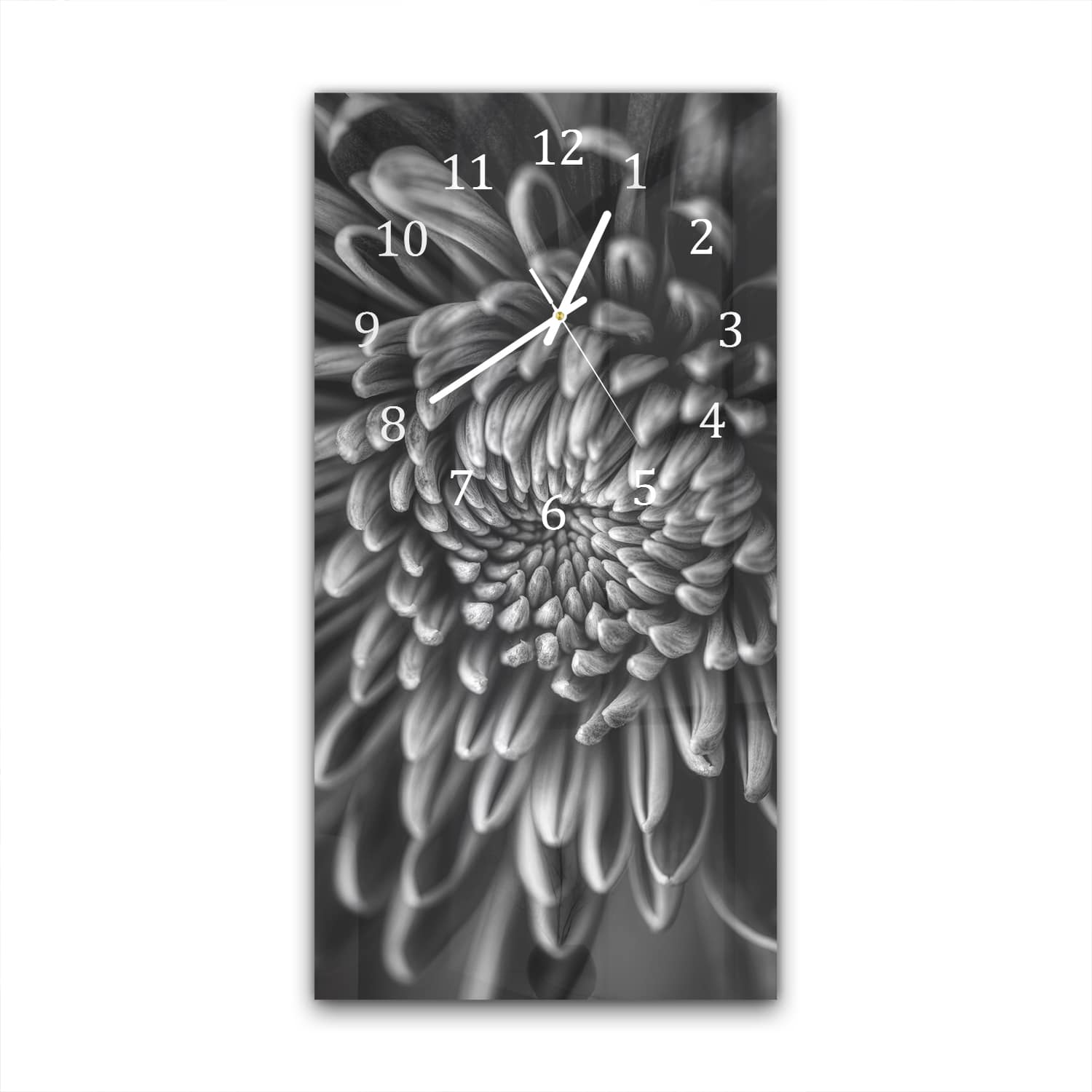 Wanduhr 30x60 - Schwarz-weiß Nahaufnahme Blume