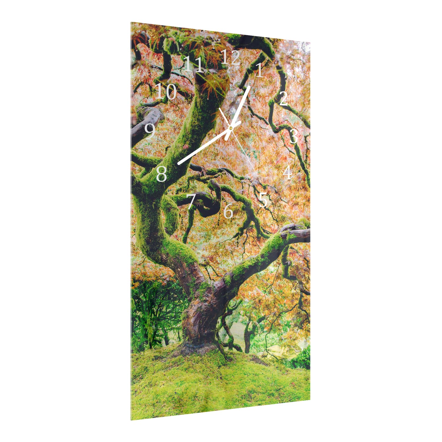 Wanduhr 30x60 - Moosiger Baum im Herbst