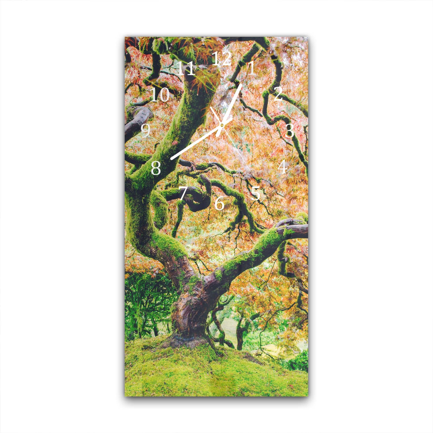 Wanduhr 30x60 - Moosiger Baum im Herbst