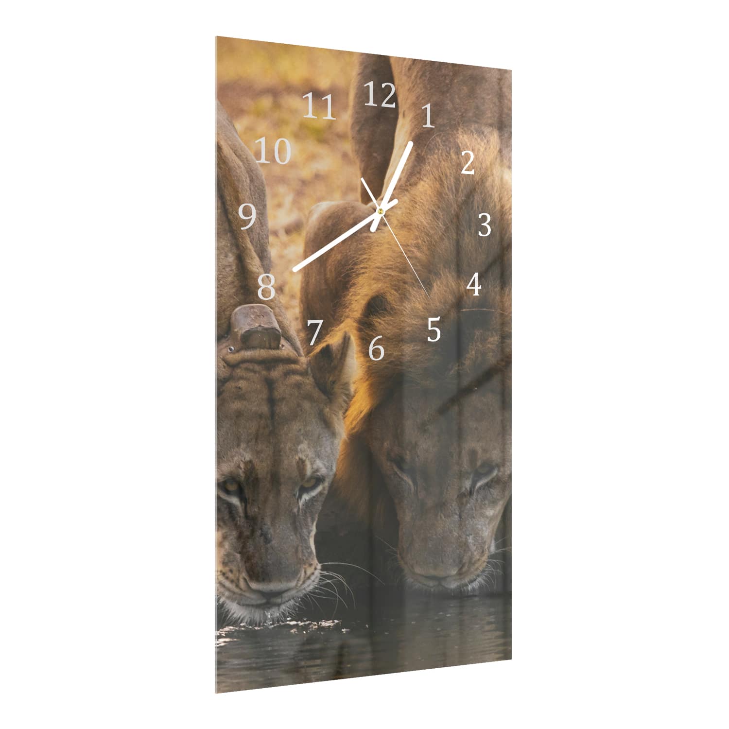 Wanduhr 30x60 - Zwei Löwen
