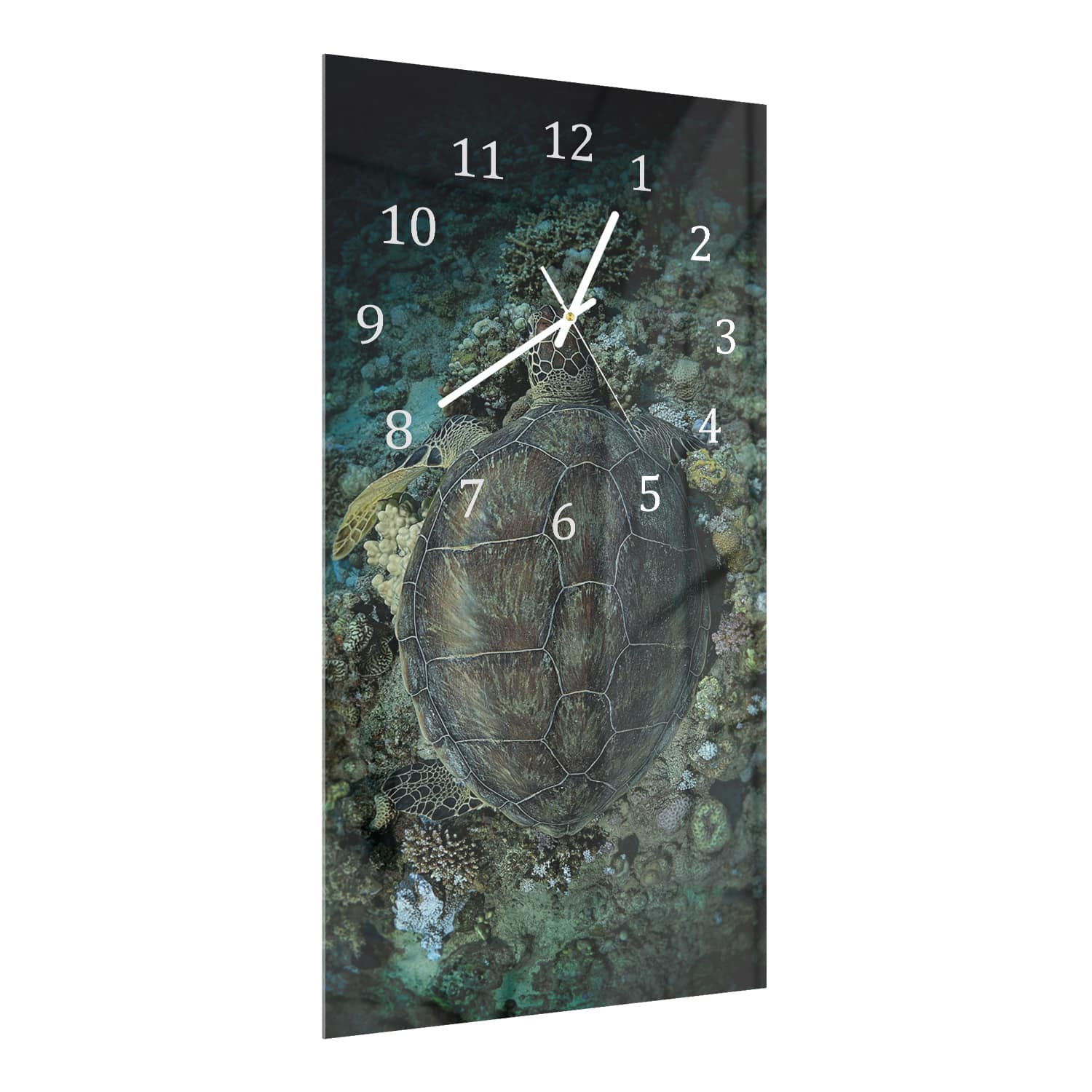 Wanduhr 30x60 - Schildkröte und Korallen