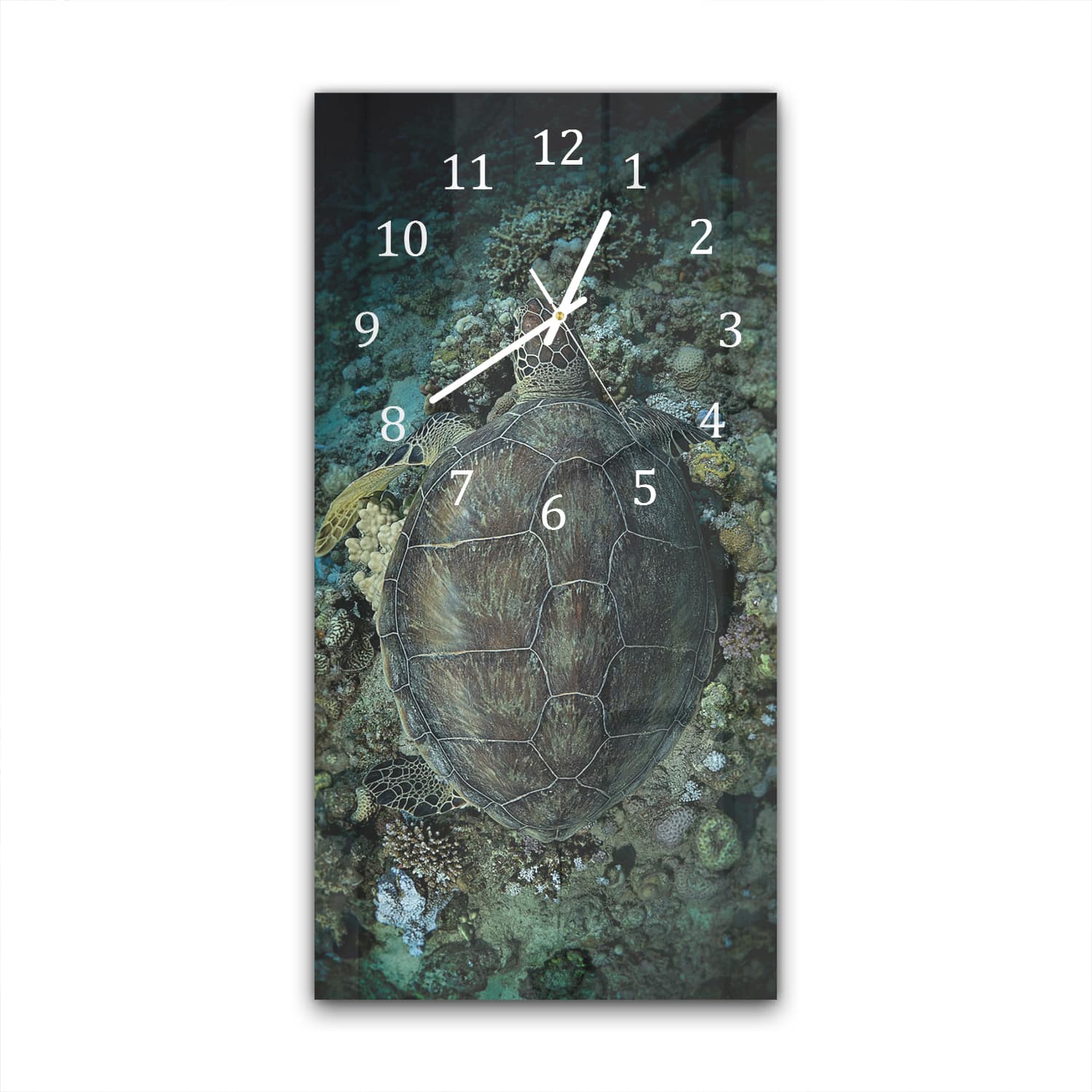 Wanduhr 30x60 - Schildkröte und Korallen