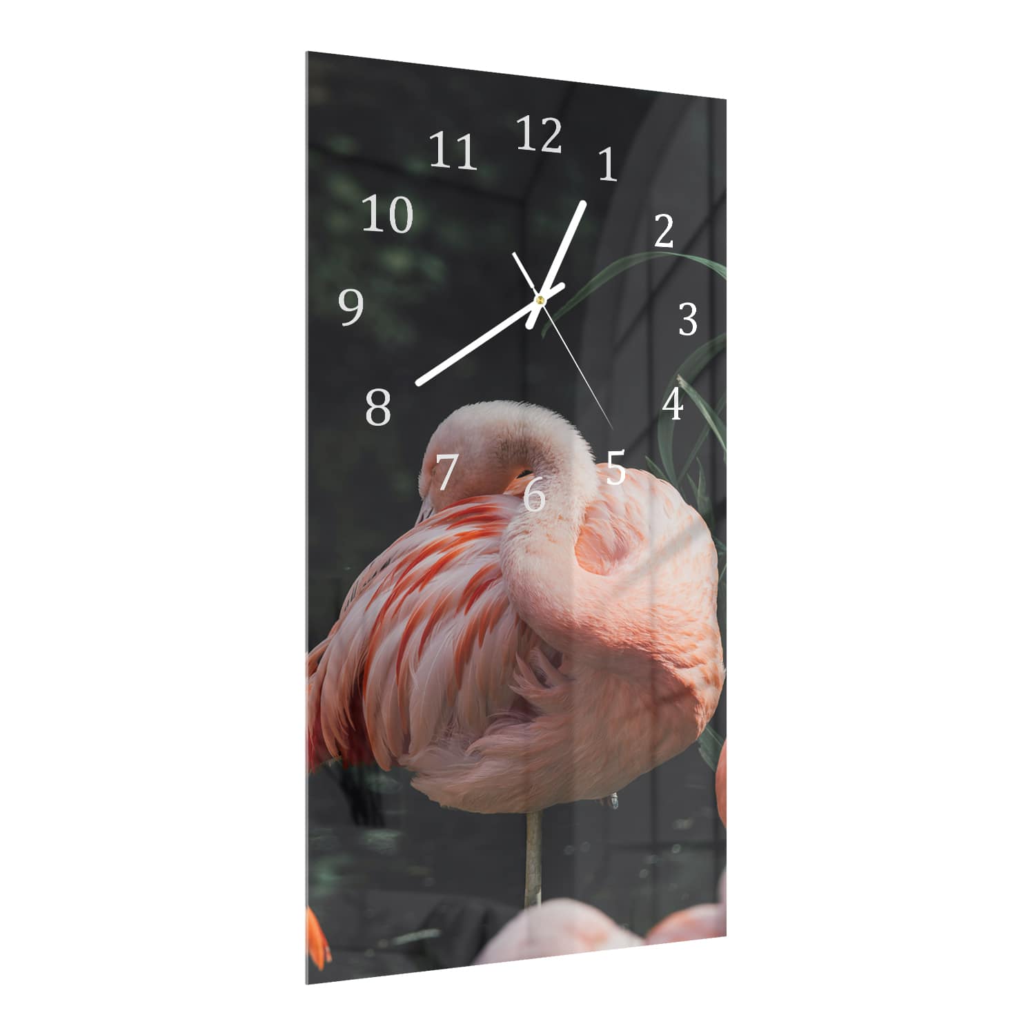 Wanduhr 30x60 - Flamingo in der Natur