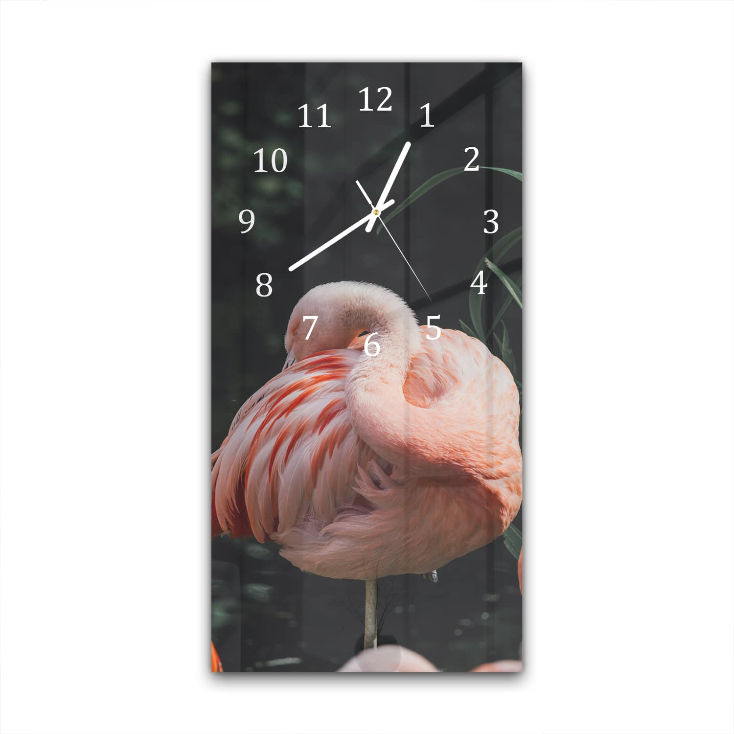 Wanduhr 30x60 - Flamingo in der Natur