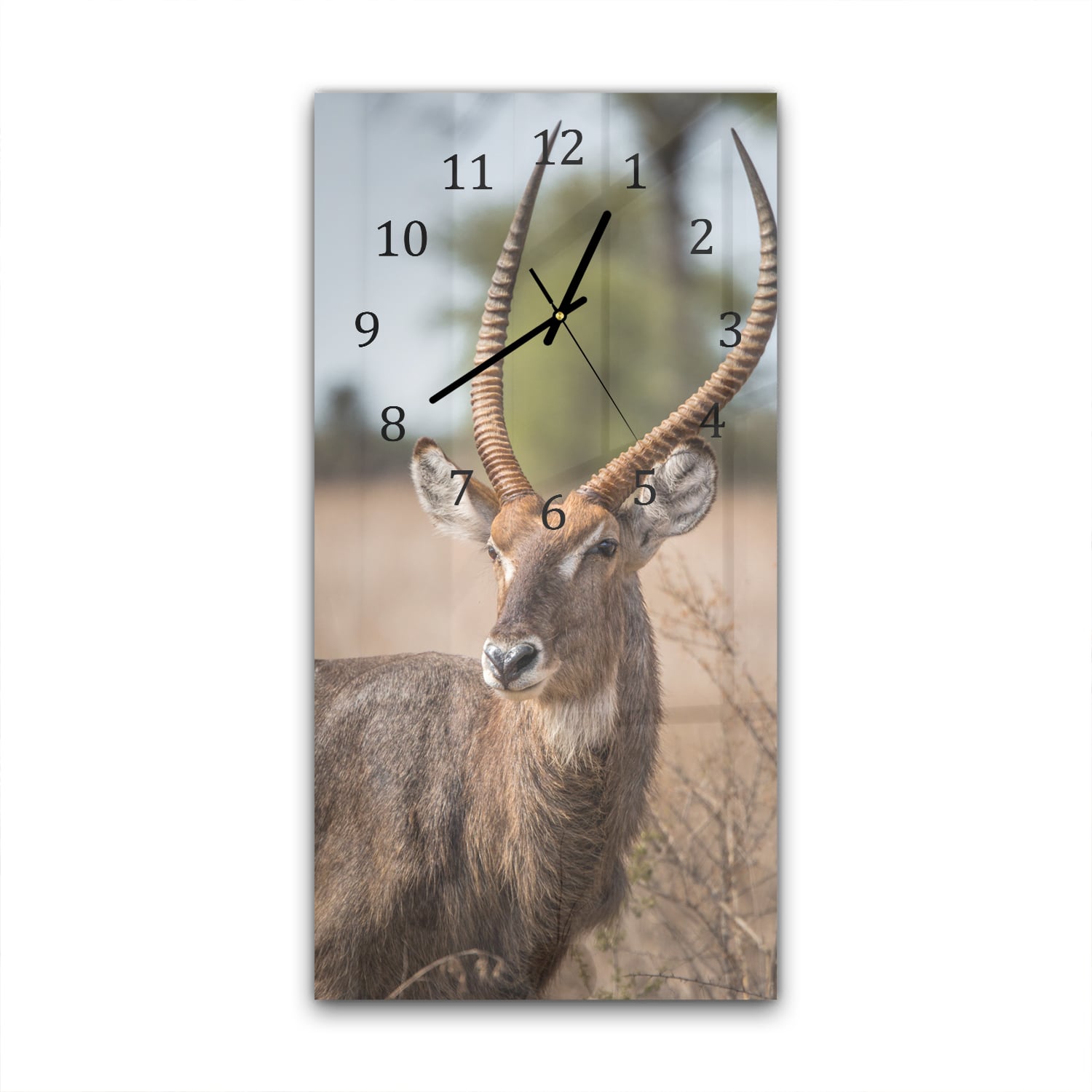 Wanduhr 30x60 - Wasserbock