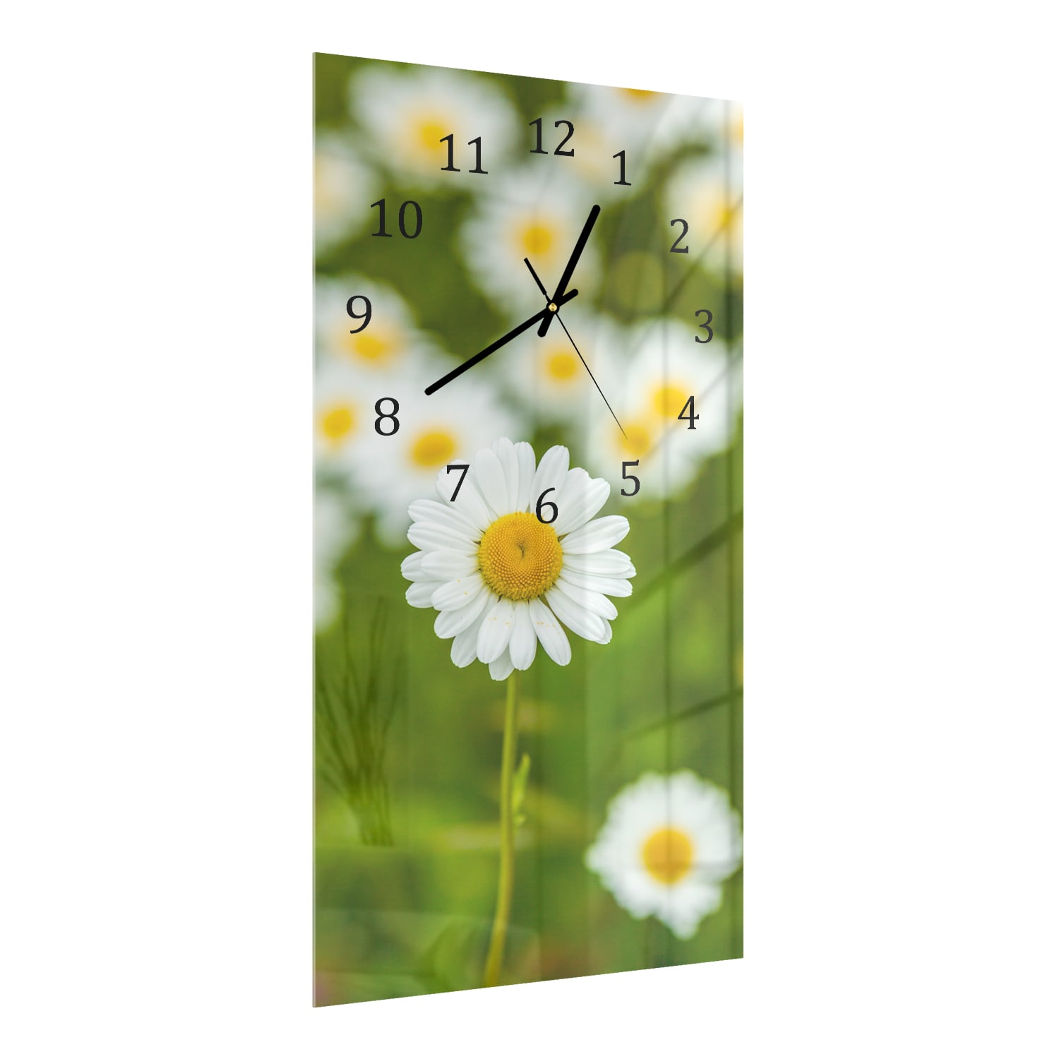 Wanduhr 30x60 - Feld von Gänseblümchen