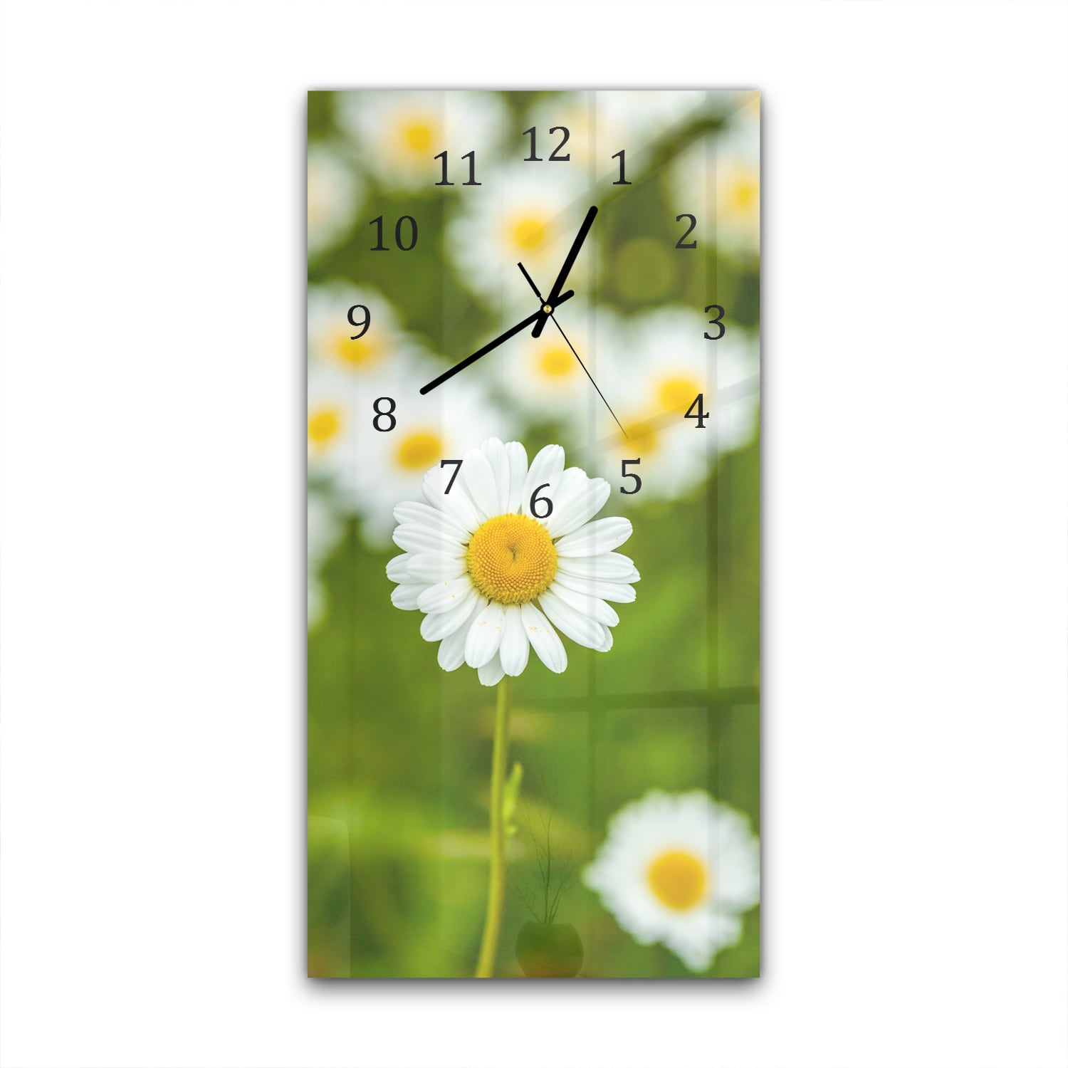 Wanduhr 30x60 - Feld von Gänseblümchen