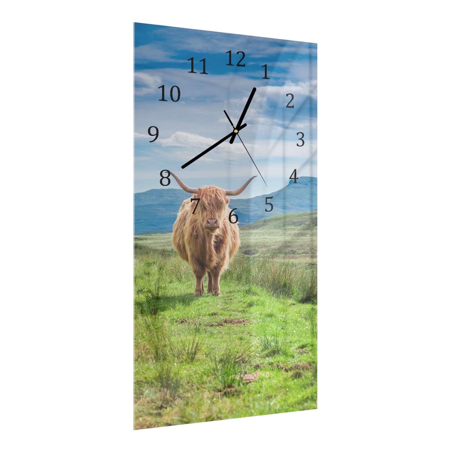 Wanduhr 30x60 - Wolliger Schottischer Hochlandrind