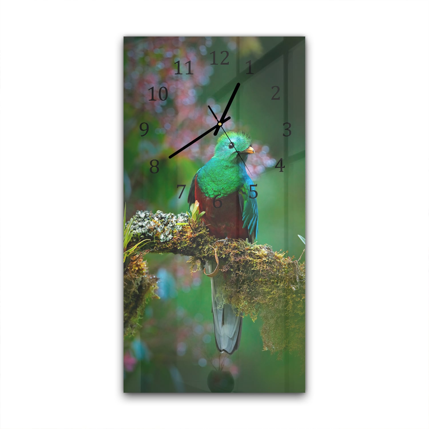 Wanduhr 30x60 - Quetzal-Vogel
