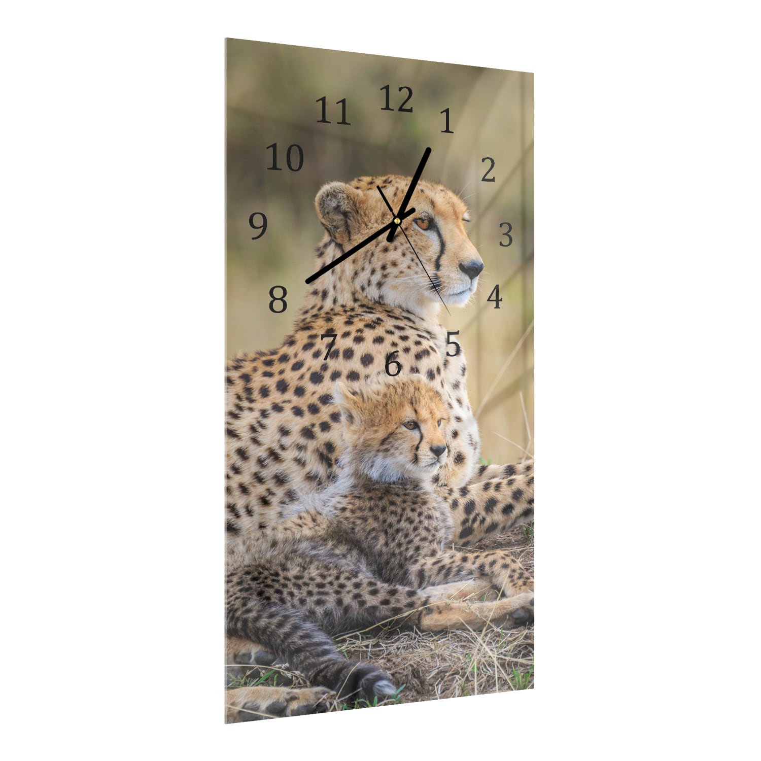 Wanduhr 30x60 - Gepard mit Jungtier