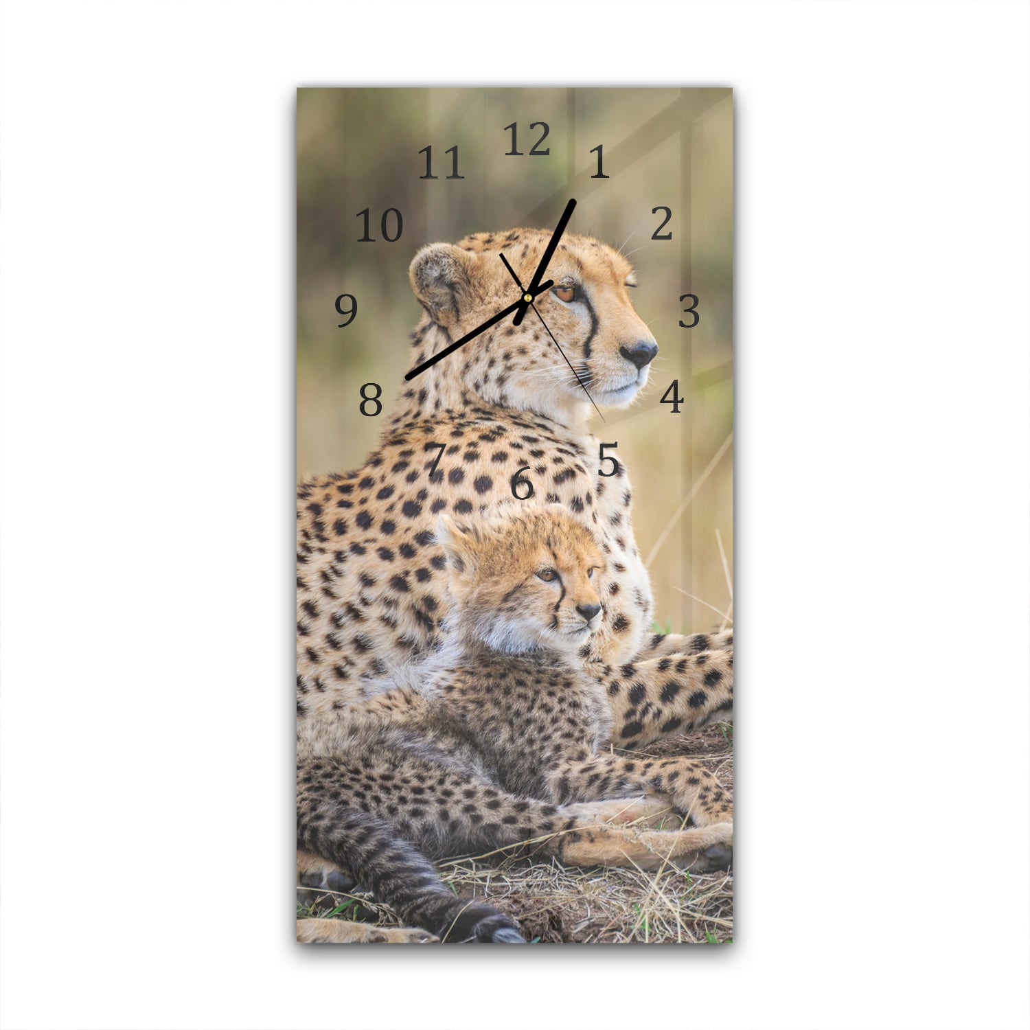Wanduhr 30x60 - Gepard mit Jungtier