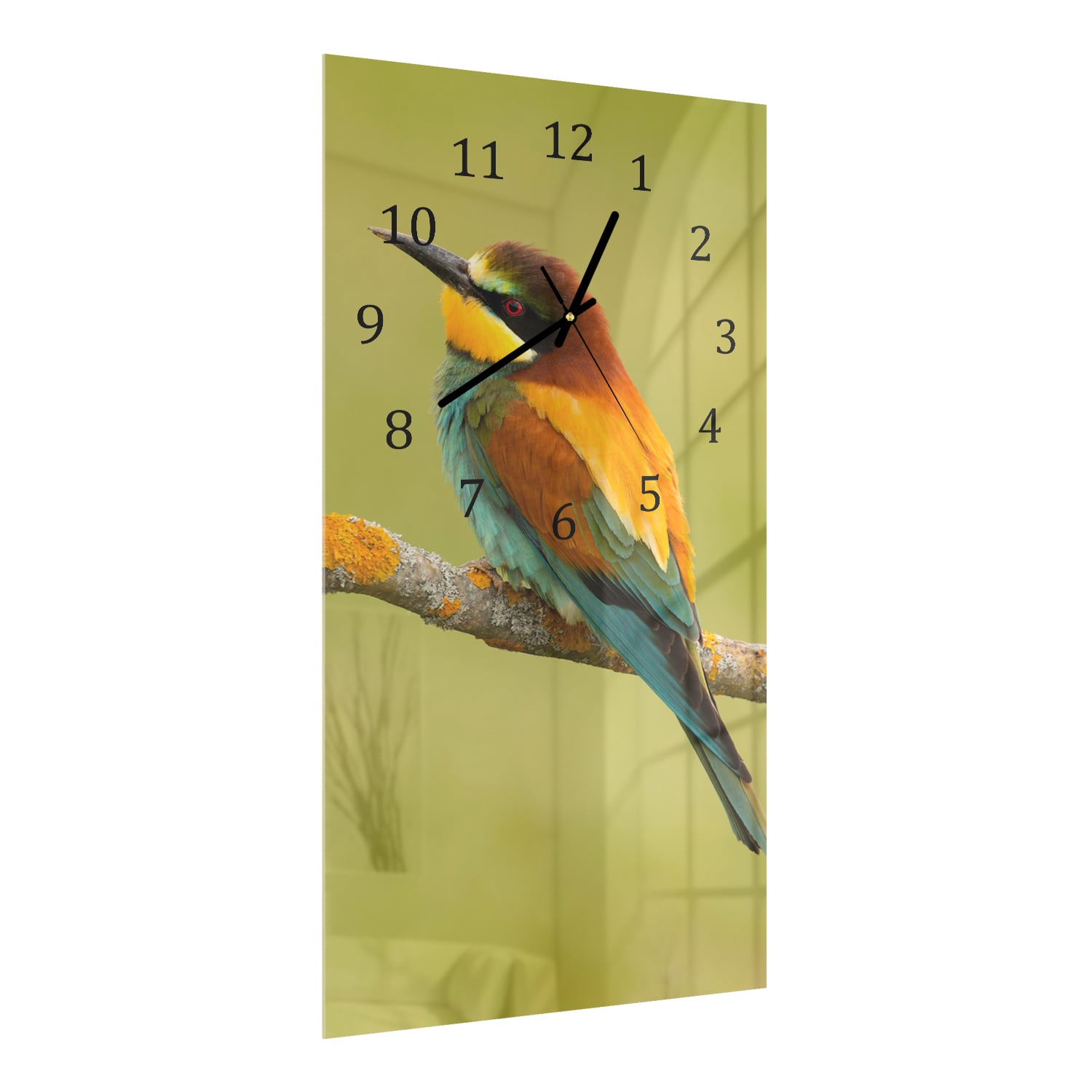 Wanduhr 30x60 - Bunter Vogel