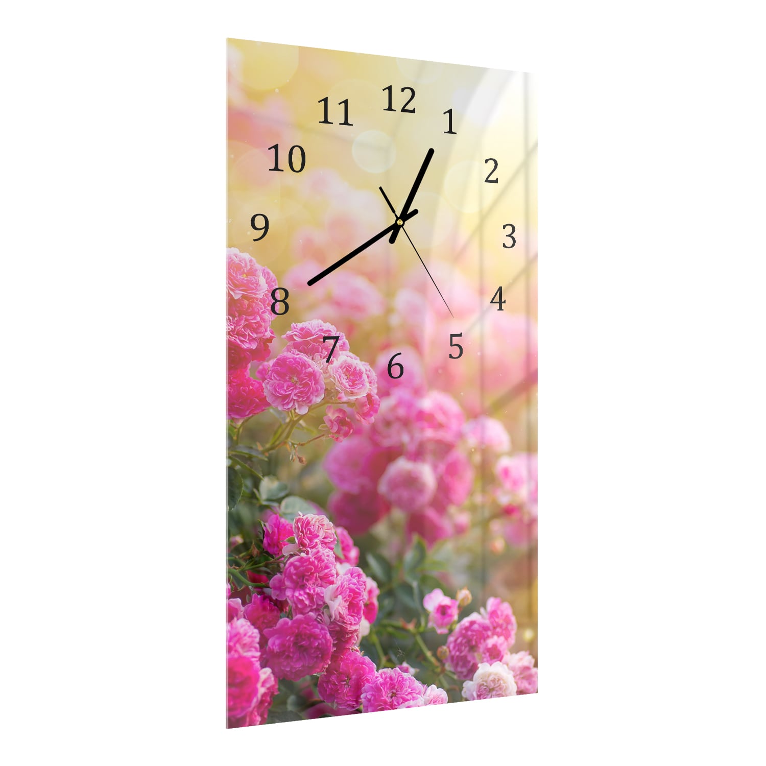 Wanduhr 30x60 - Rosen in der Morgensonne