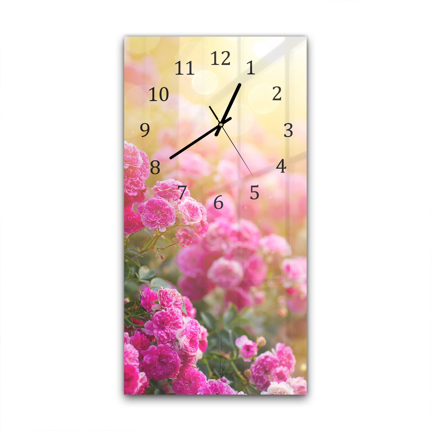 Wanduhr 30x60 - Rosen in der Morgensonne