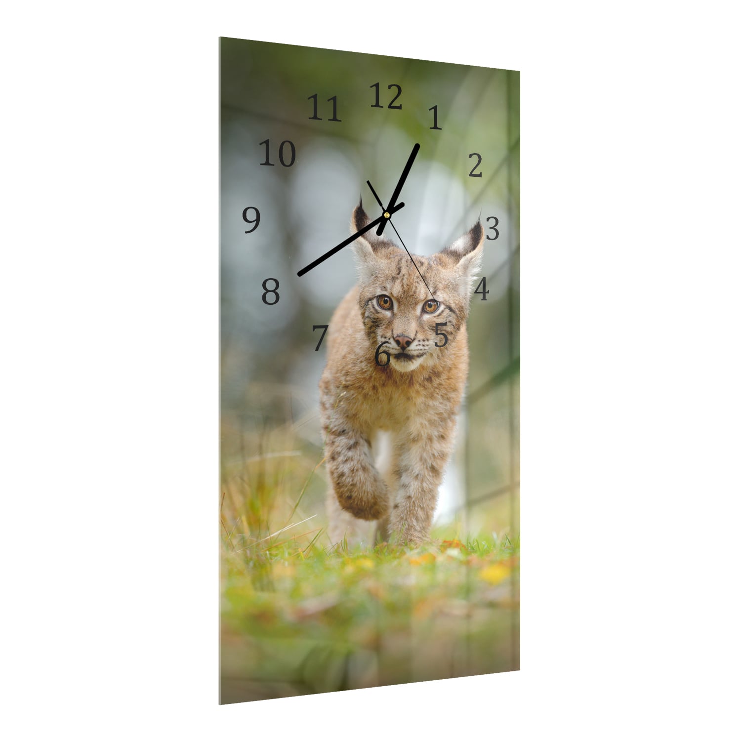 Wanduhr 30x60 - Junger Luchs