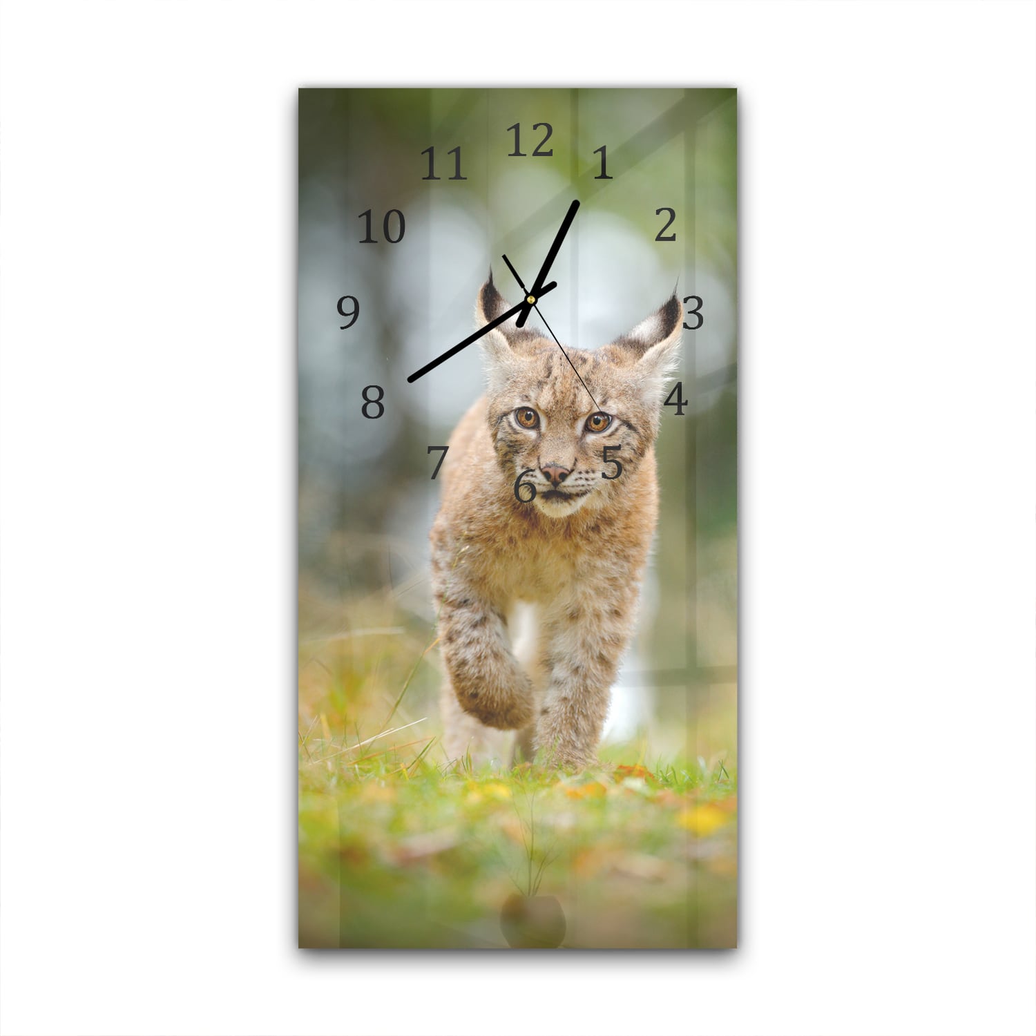 Wanduhr 30x60 - Junger Luchs