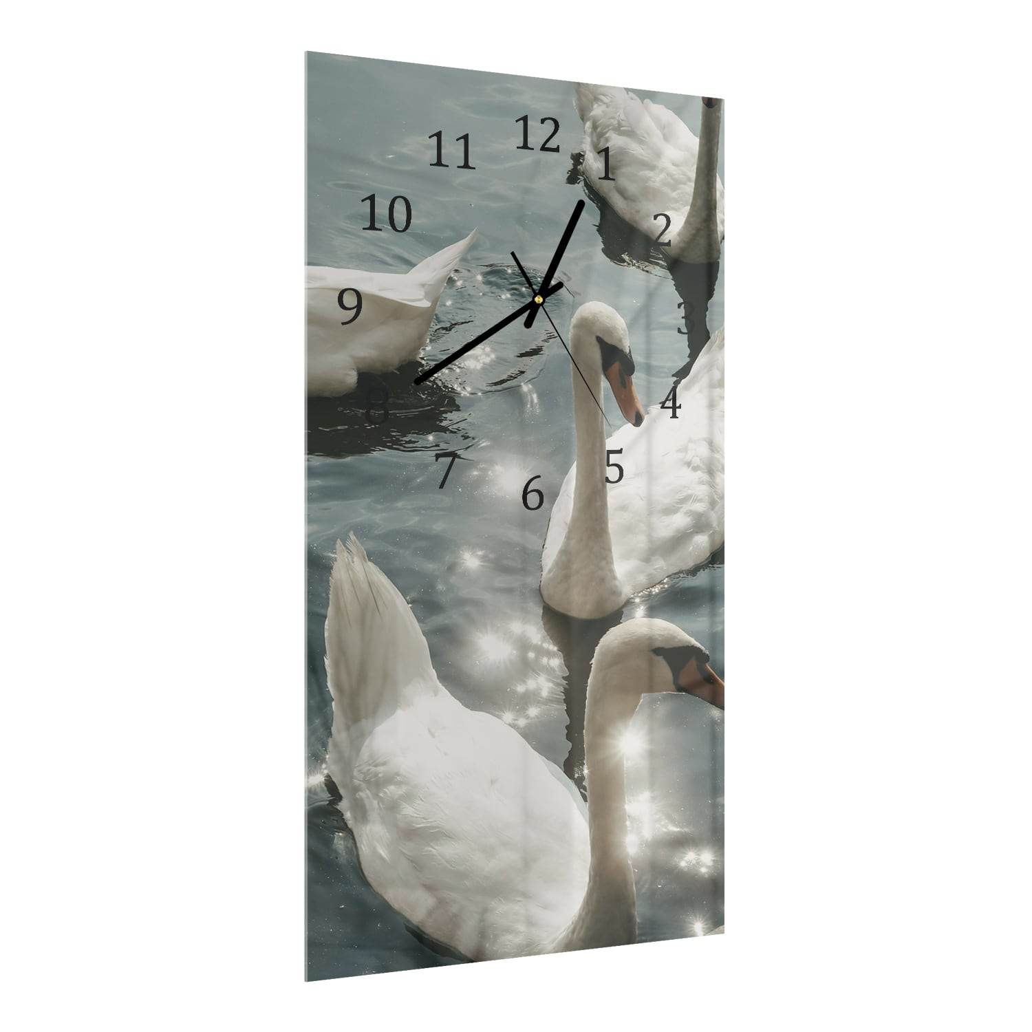 Wanduhr 30x60 - Schwäne in der Sonne