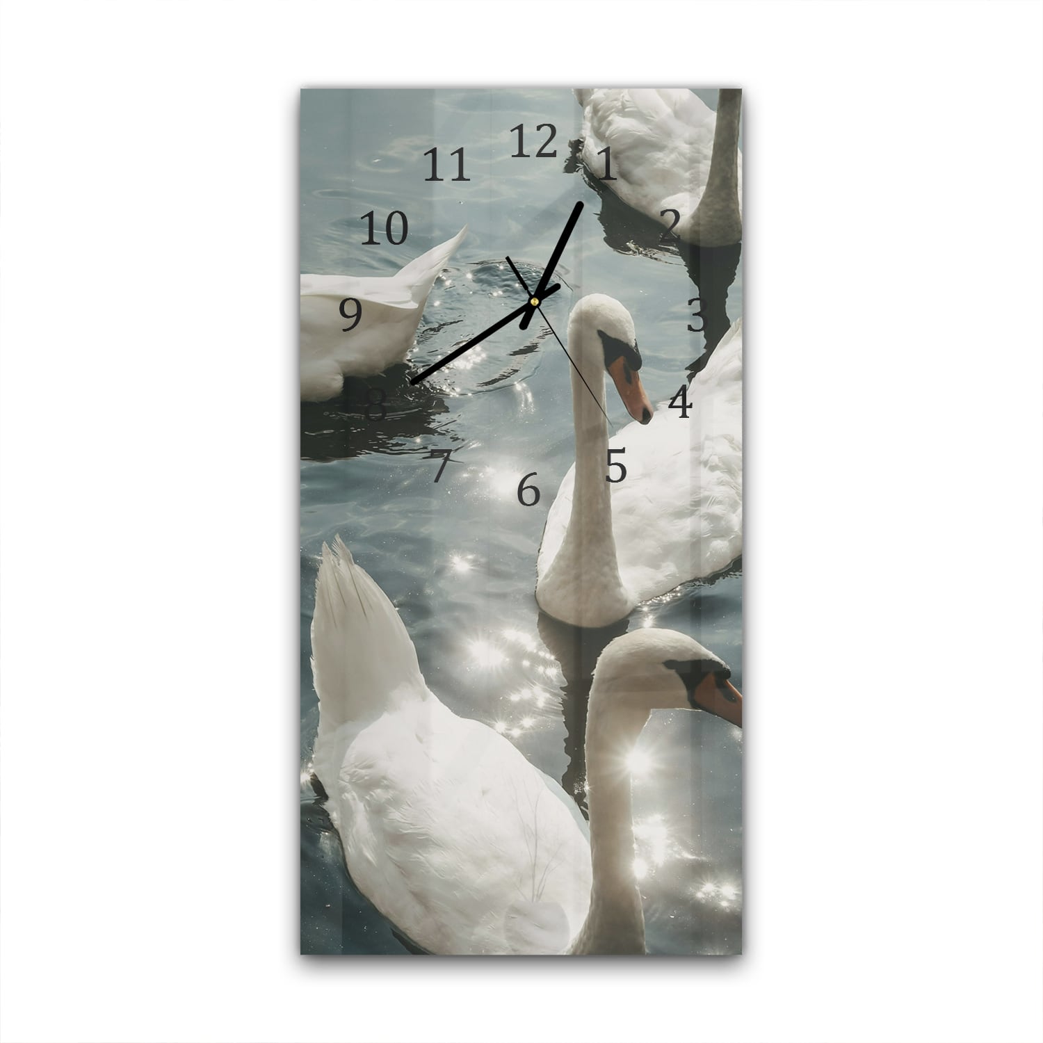 Wanduhr 30x60 - Schwäne in der Sonne