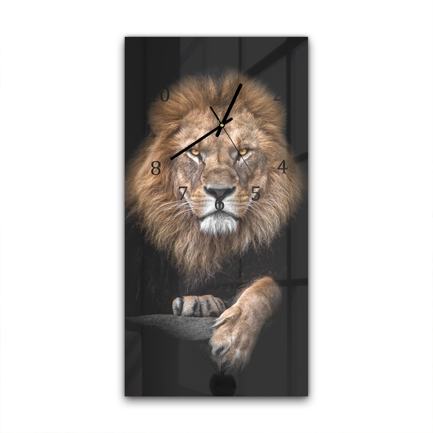 Wanduhr 30x60 - Löwe im Dunkeln