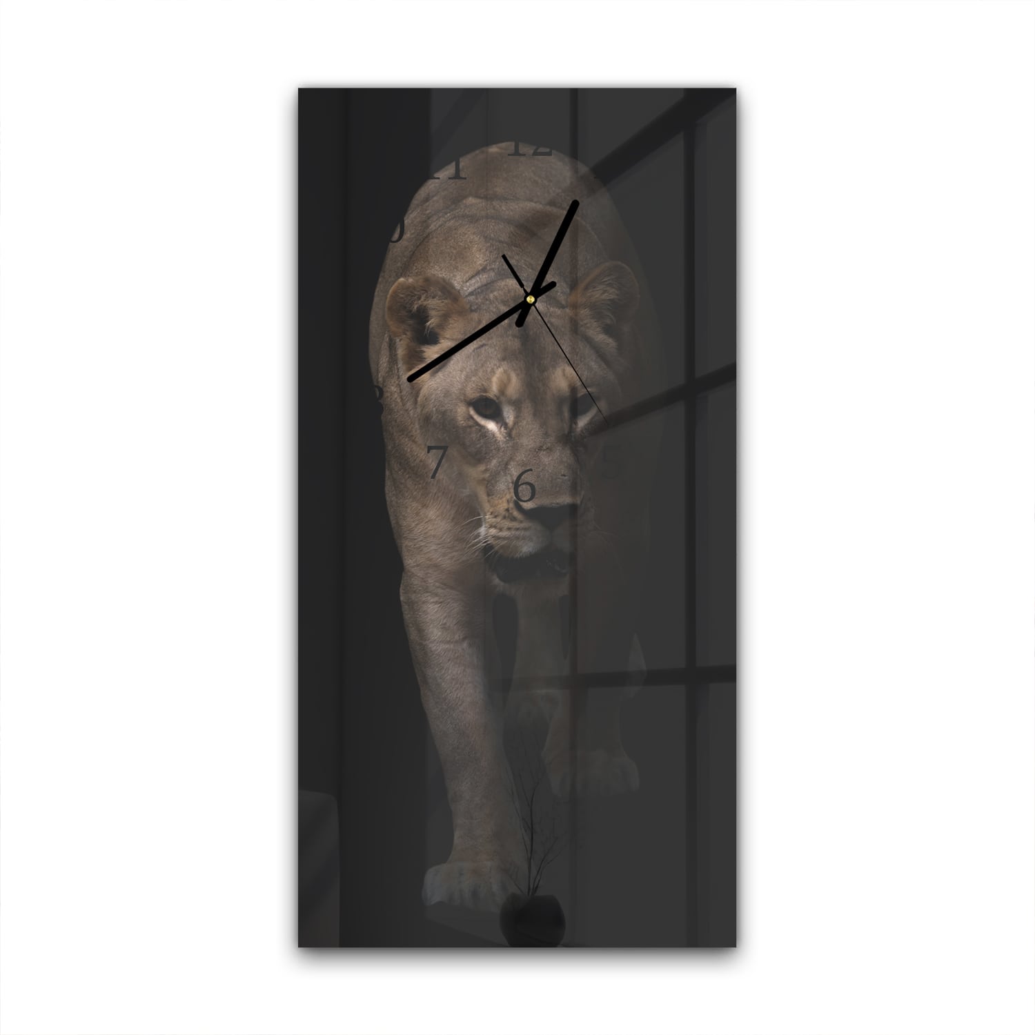 Wanduhr 30x60 - Weiblicher Löwe im Dunkeln