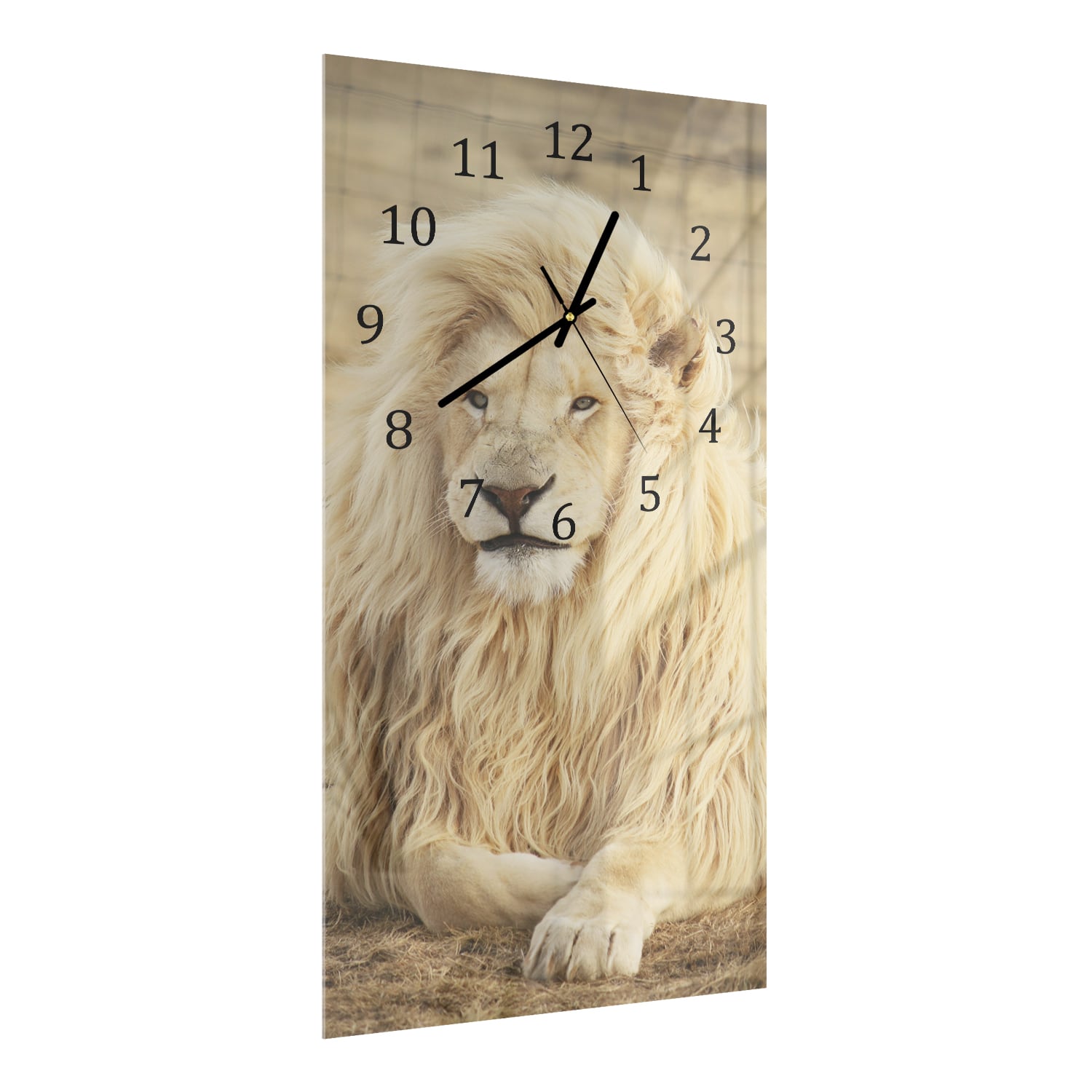 Wanduhr 30x60 - Weißer Löwe