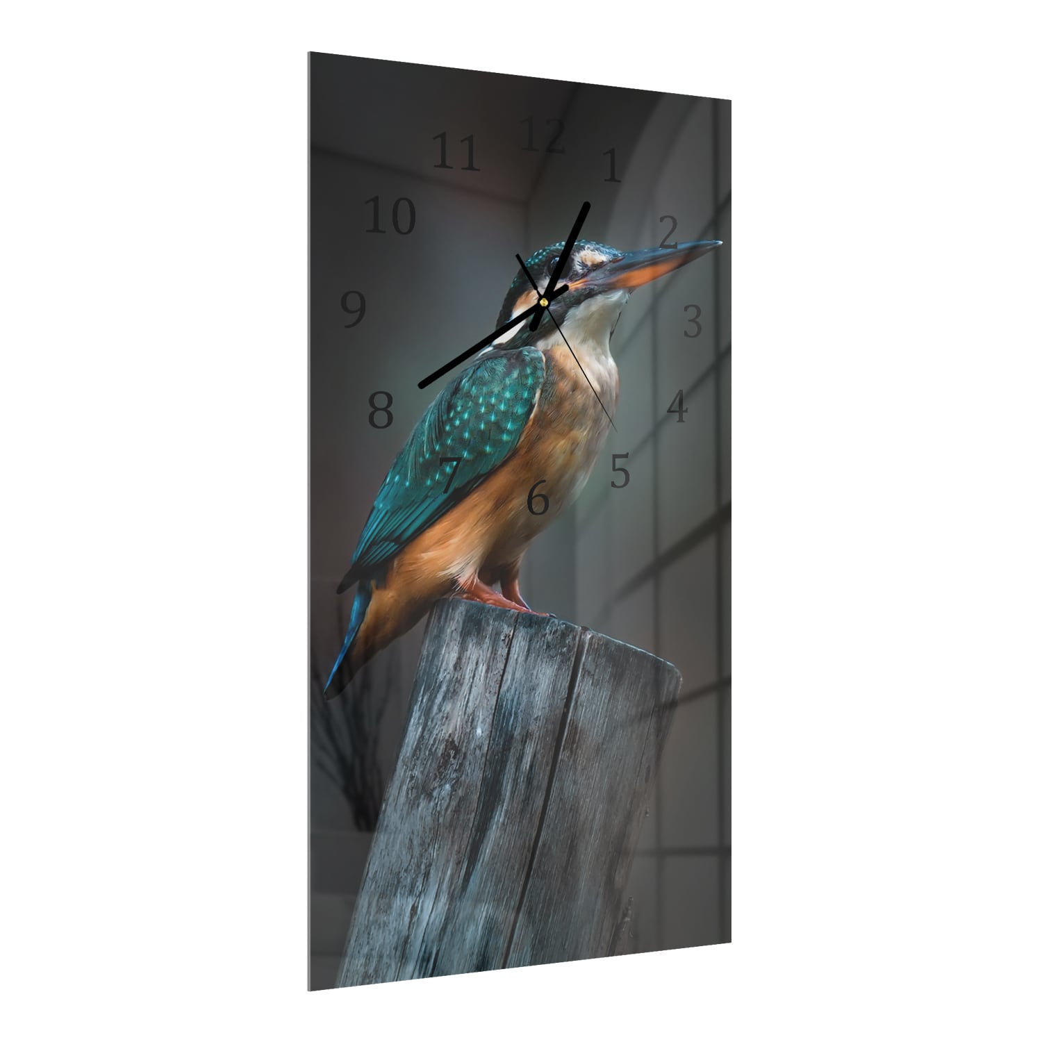 Wanduhr 30x60 - Kleiner Eisvogel