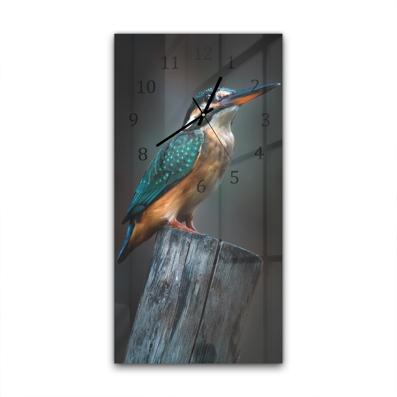 Wanduhr 30x60 - Kleiner Eisvogel