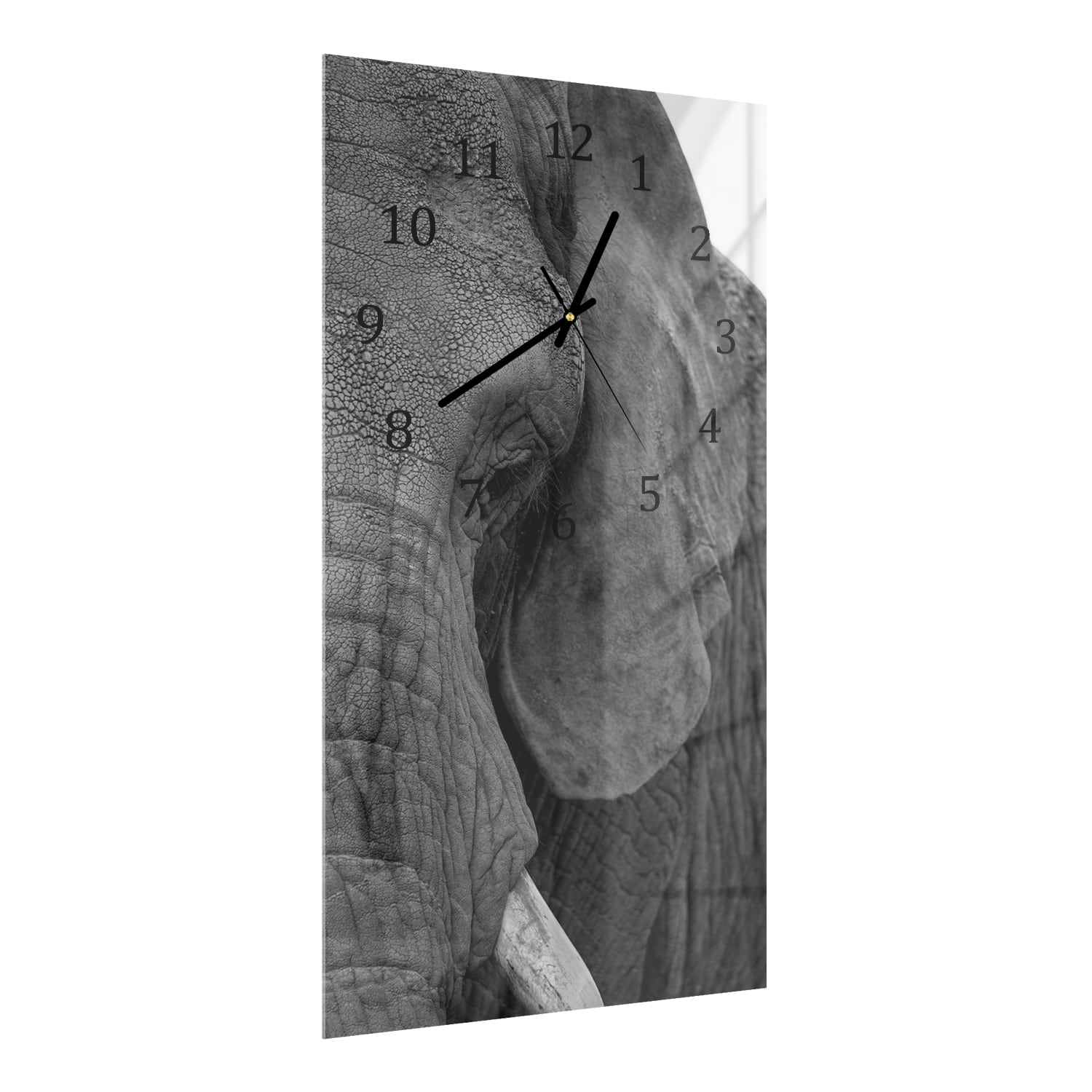 Wanduhr 30x60 - Afrikanischer Waldelefant
